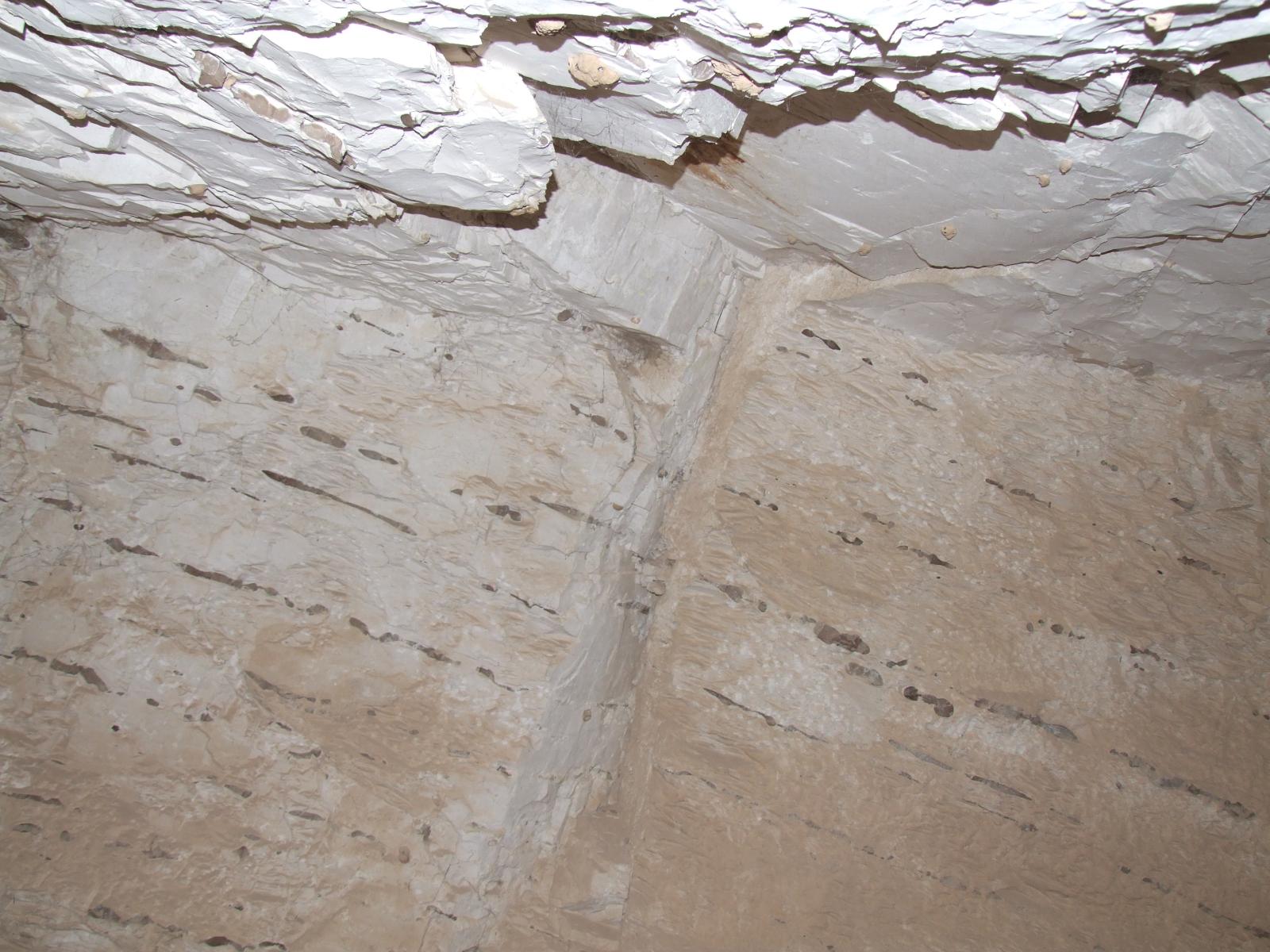 GCI/VOQ.00362.jpg