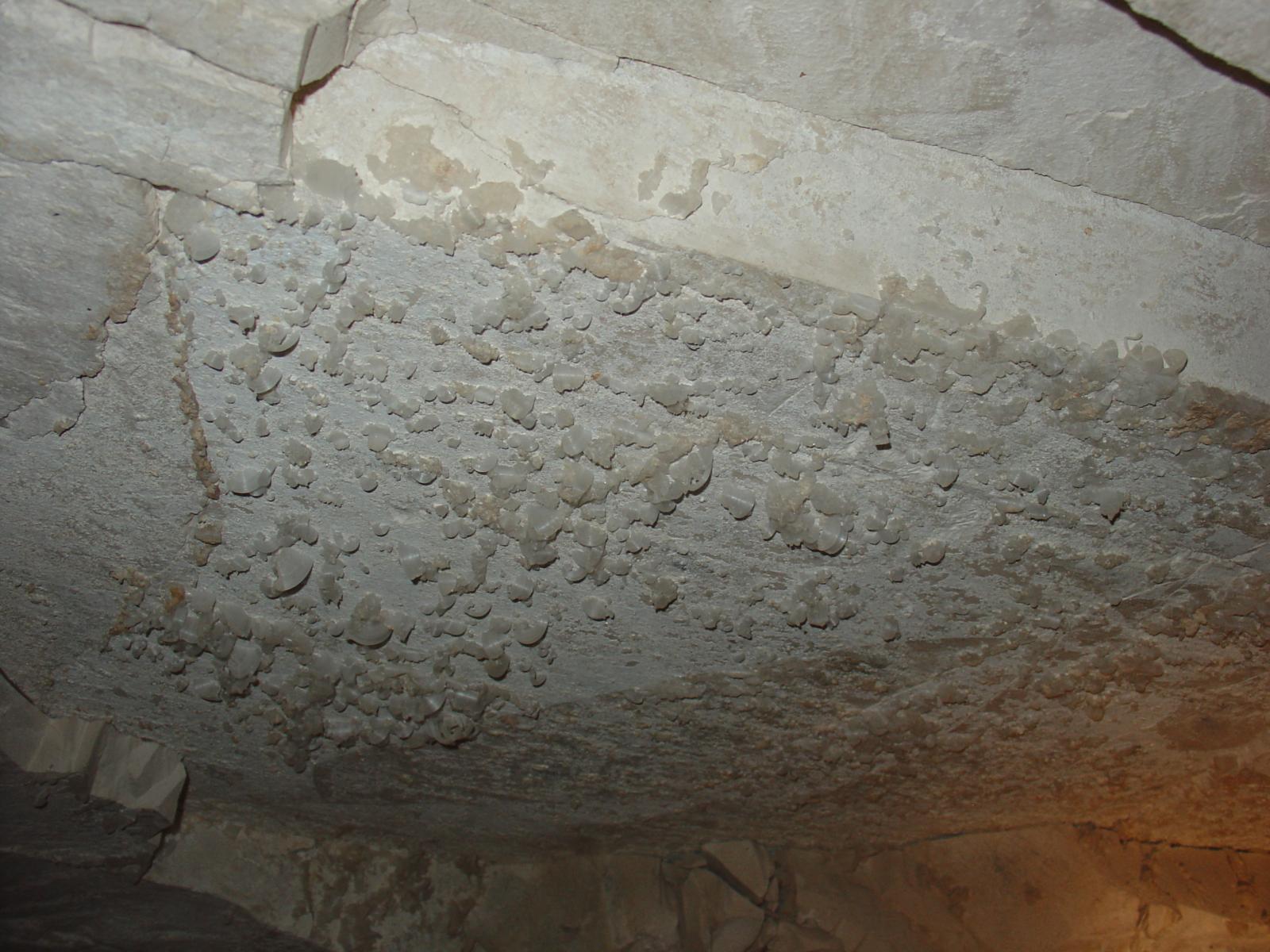 GCI/VOQ.00402.jpg