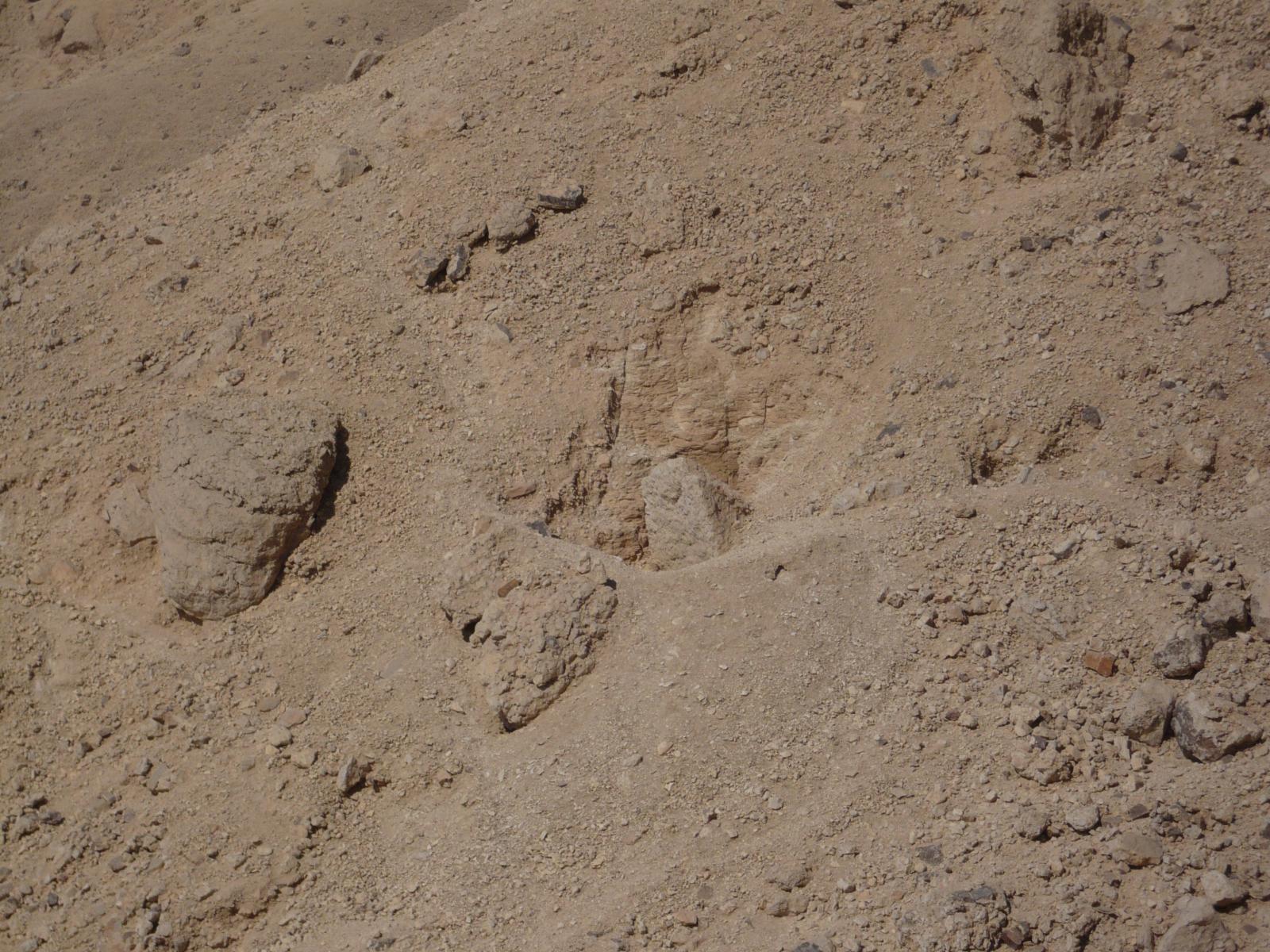 GCI/VOQ.00418.jpg
