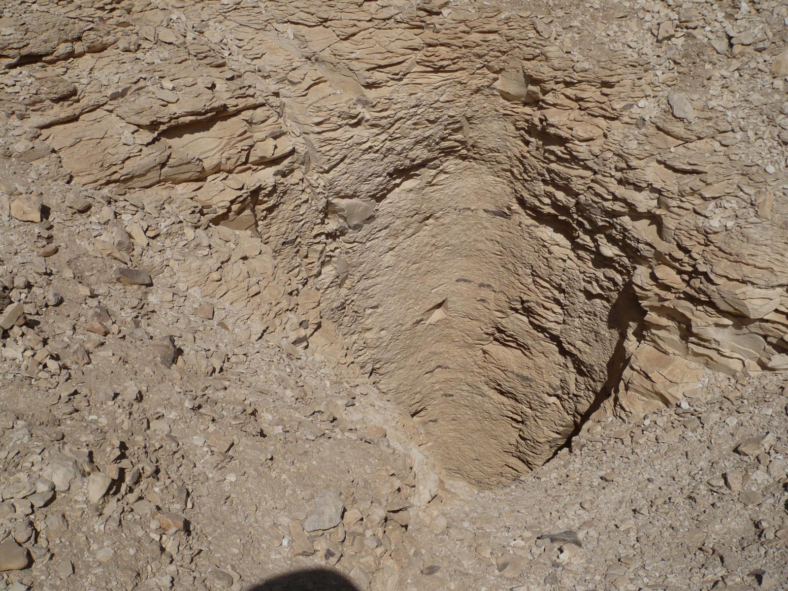 GCI/VOQ.00427.jpg