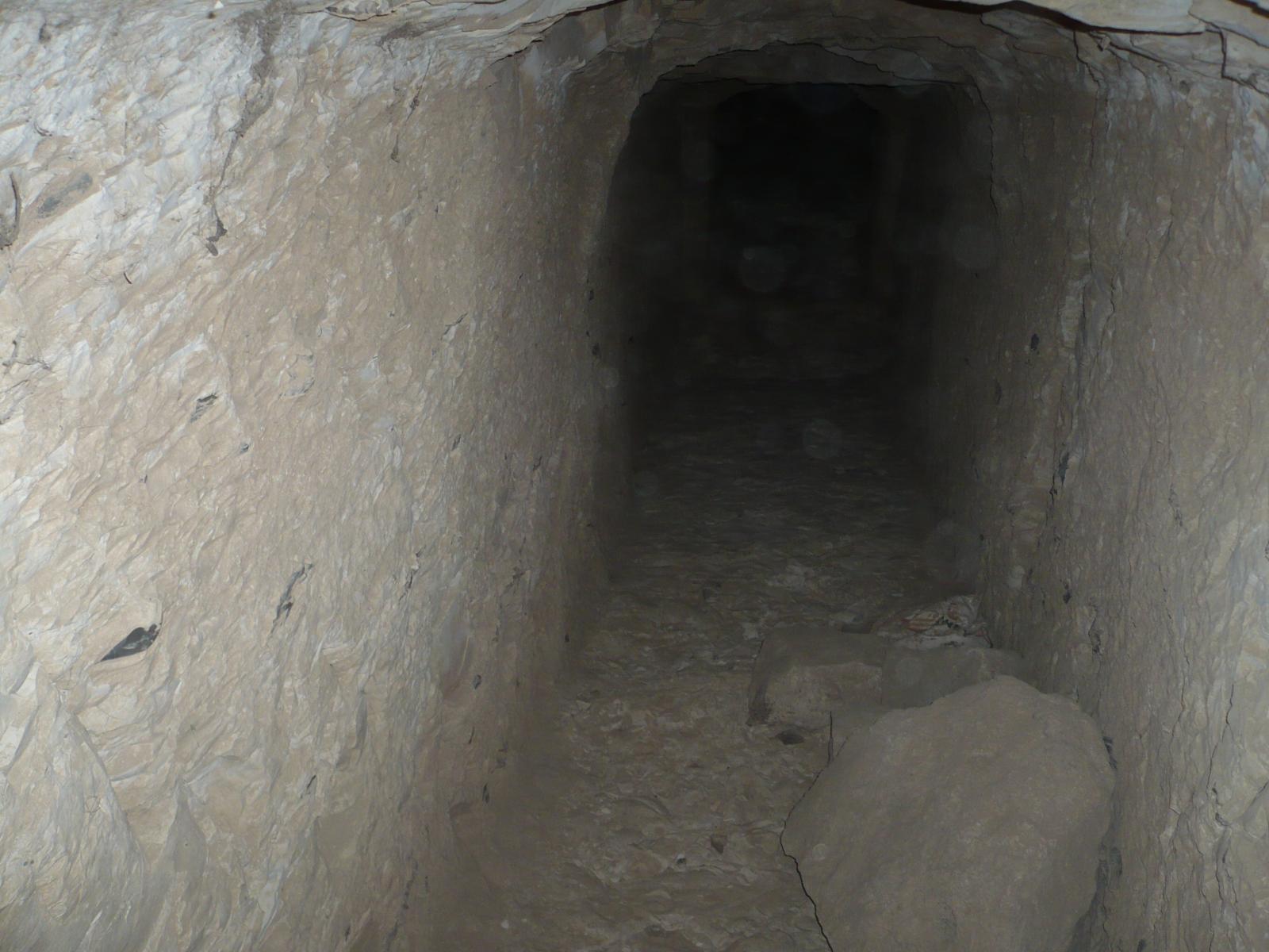 GCI/VOQ.00460.jpg