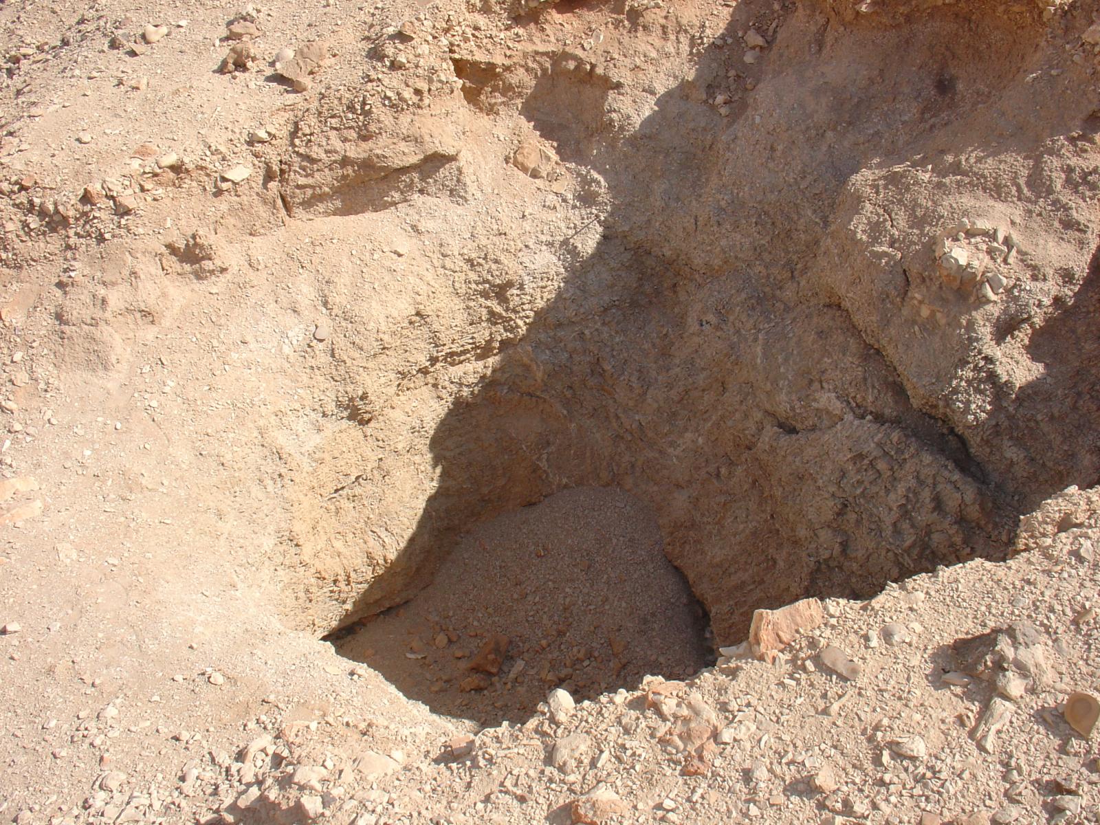 GCI/VOQ.00500.jpg