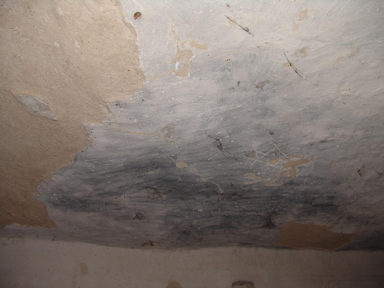 GCI/VOQ.00658.jpg