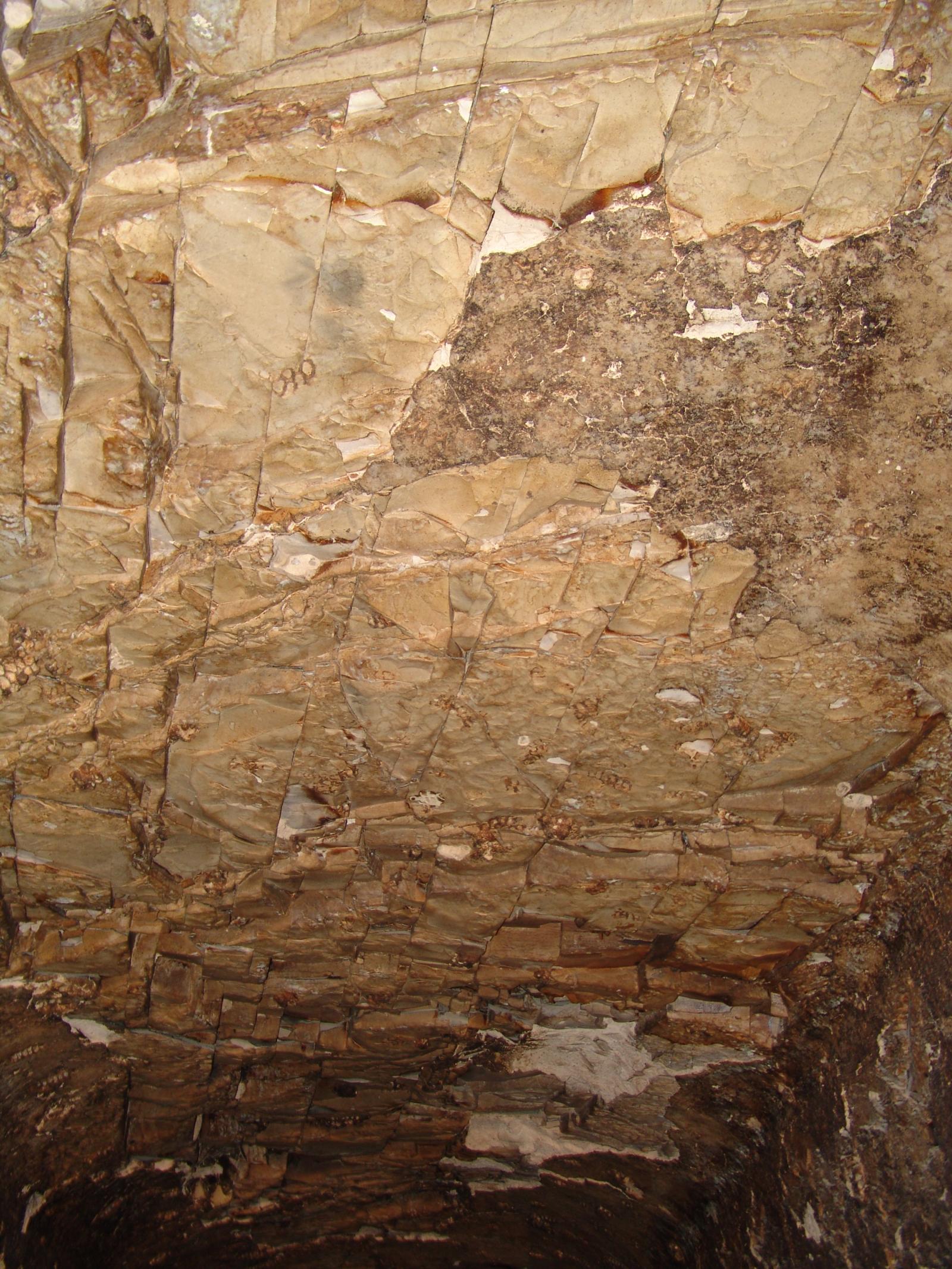 GCI/VOQ.00761.jpg