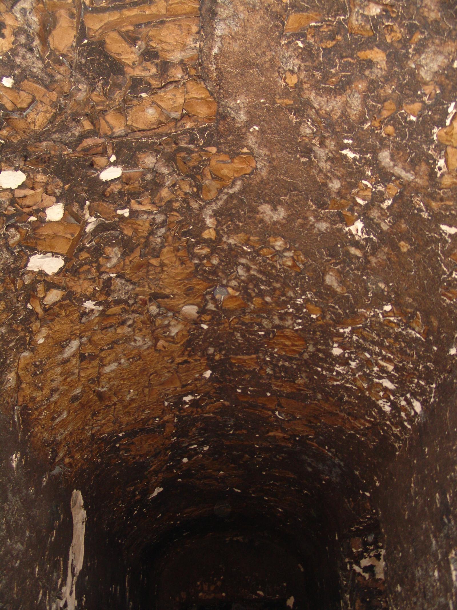 GCI/VOQ.00767.jpg