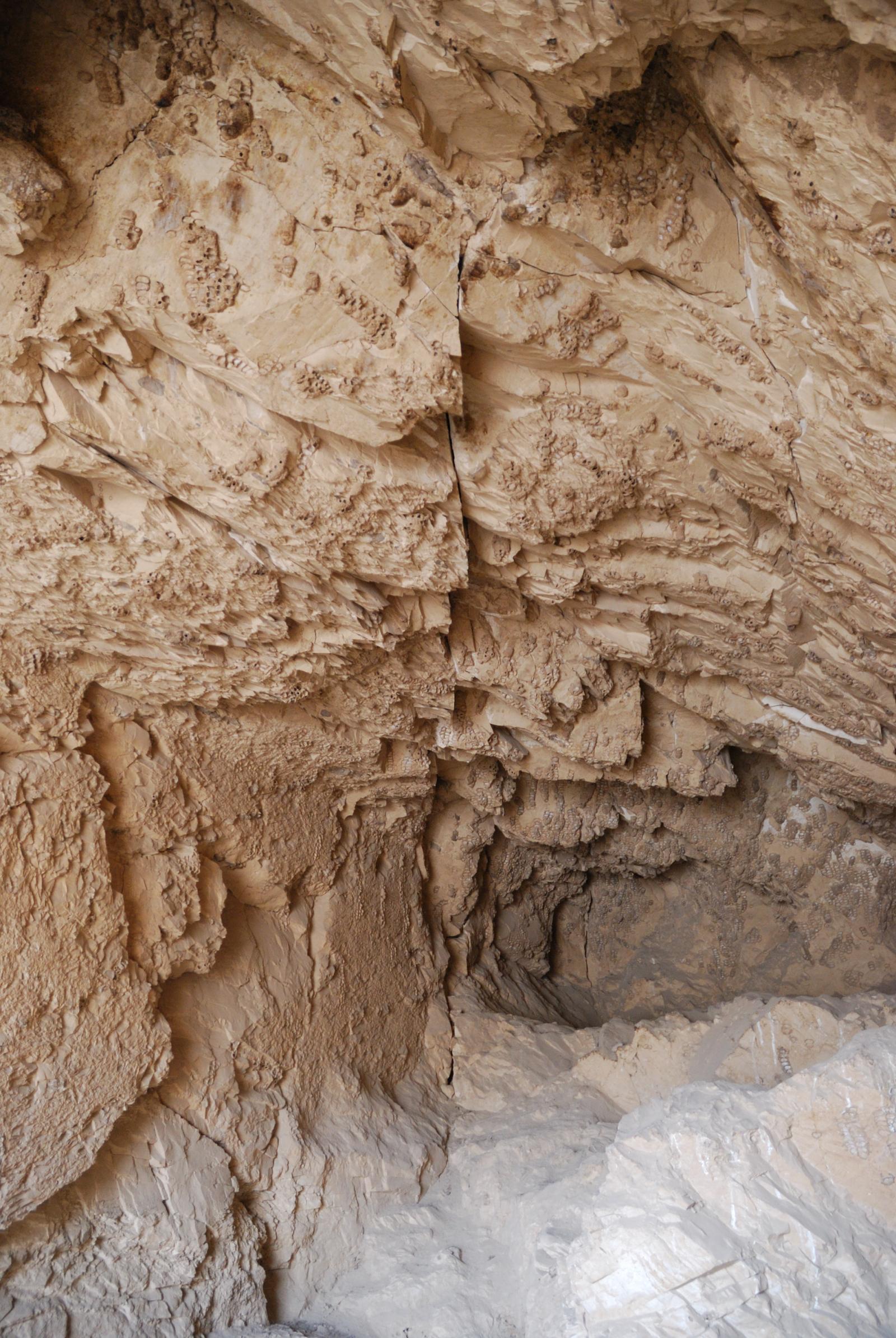 GCI/VOQ.00935.jpg
