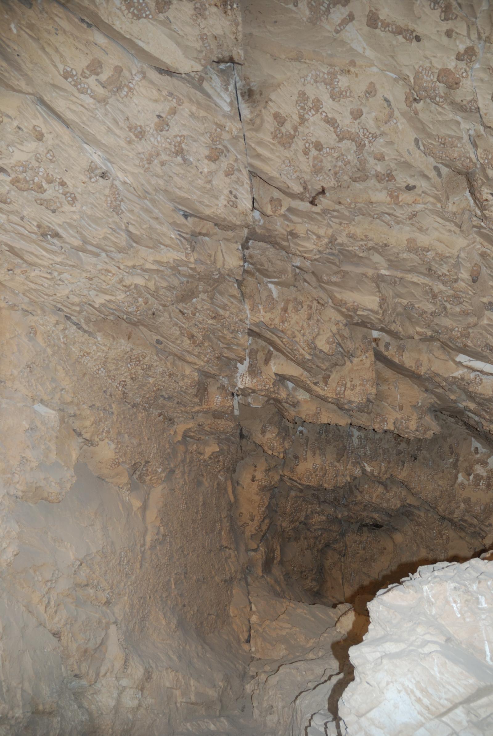 GCI/VOQ.00938.jpg