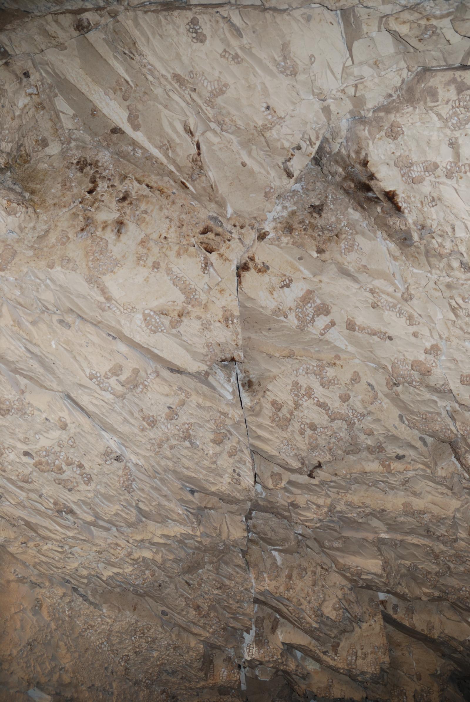 GCI/VOQ.00939.jpg