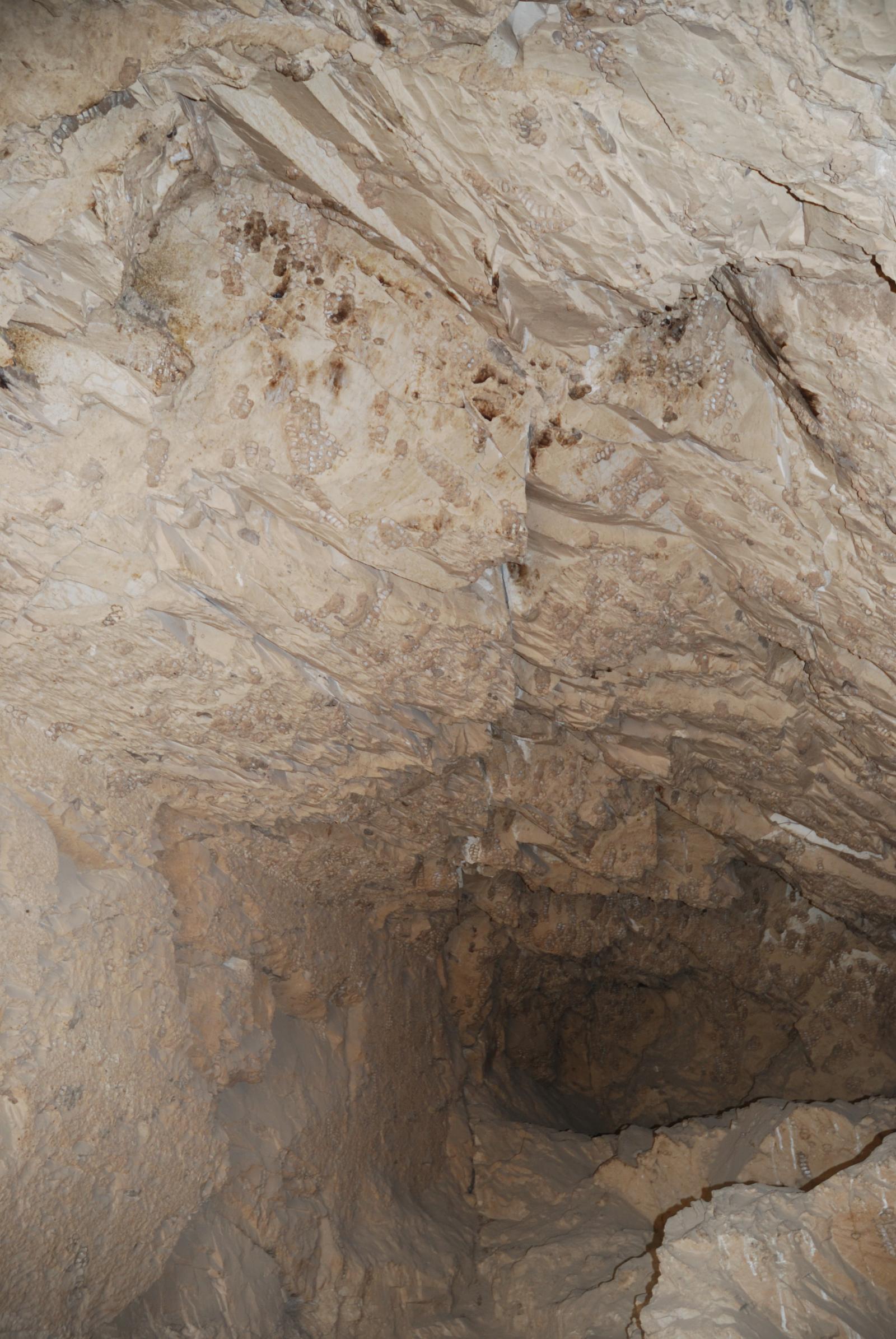 GCI/VOQ.00941.jpg