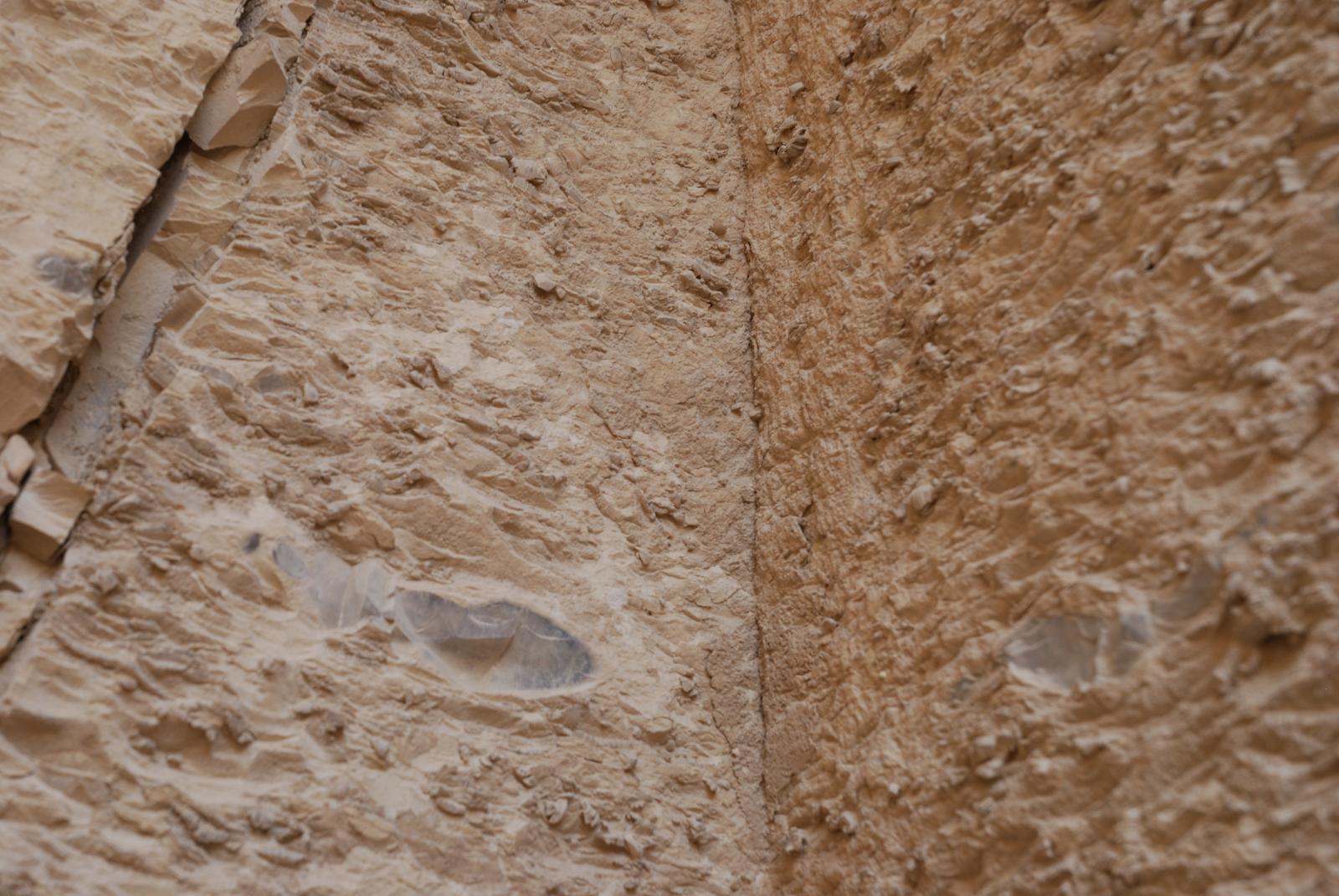 GCI/VOQ.00944.jpg