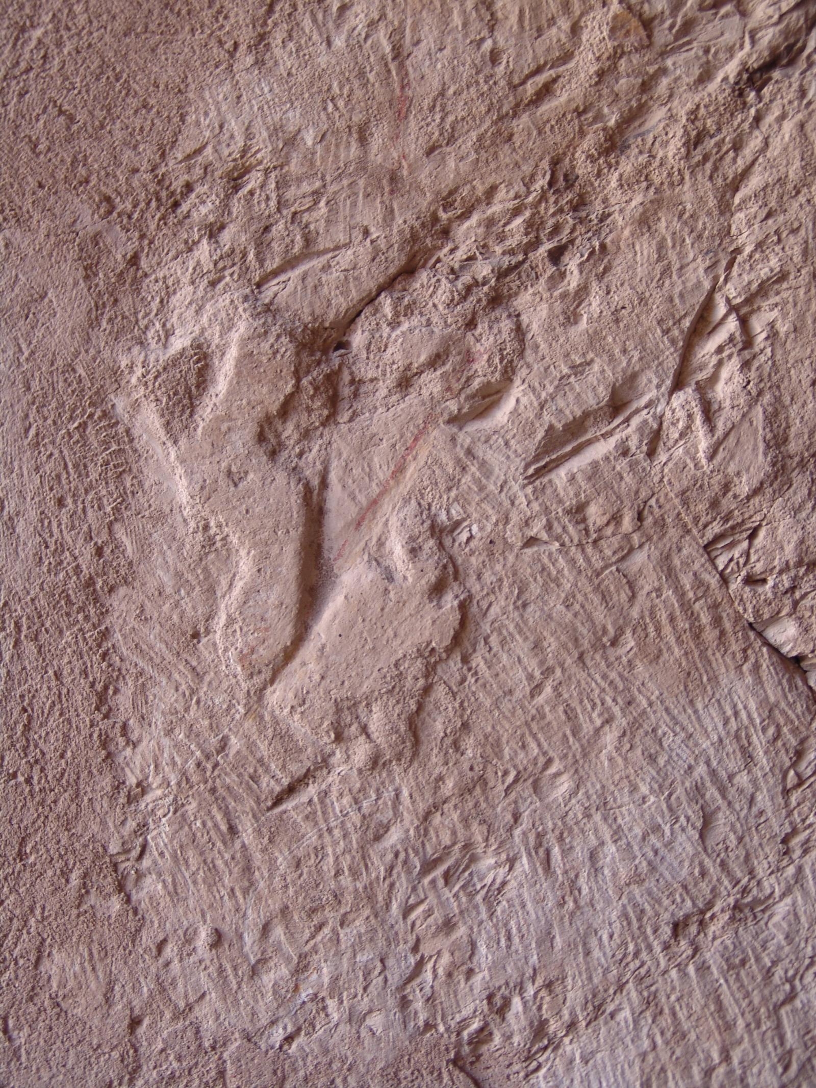 GCI/VOQ.00966.jpg