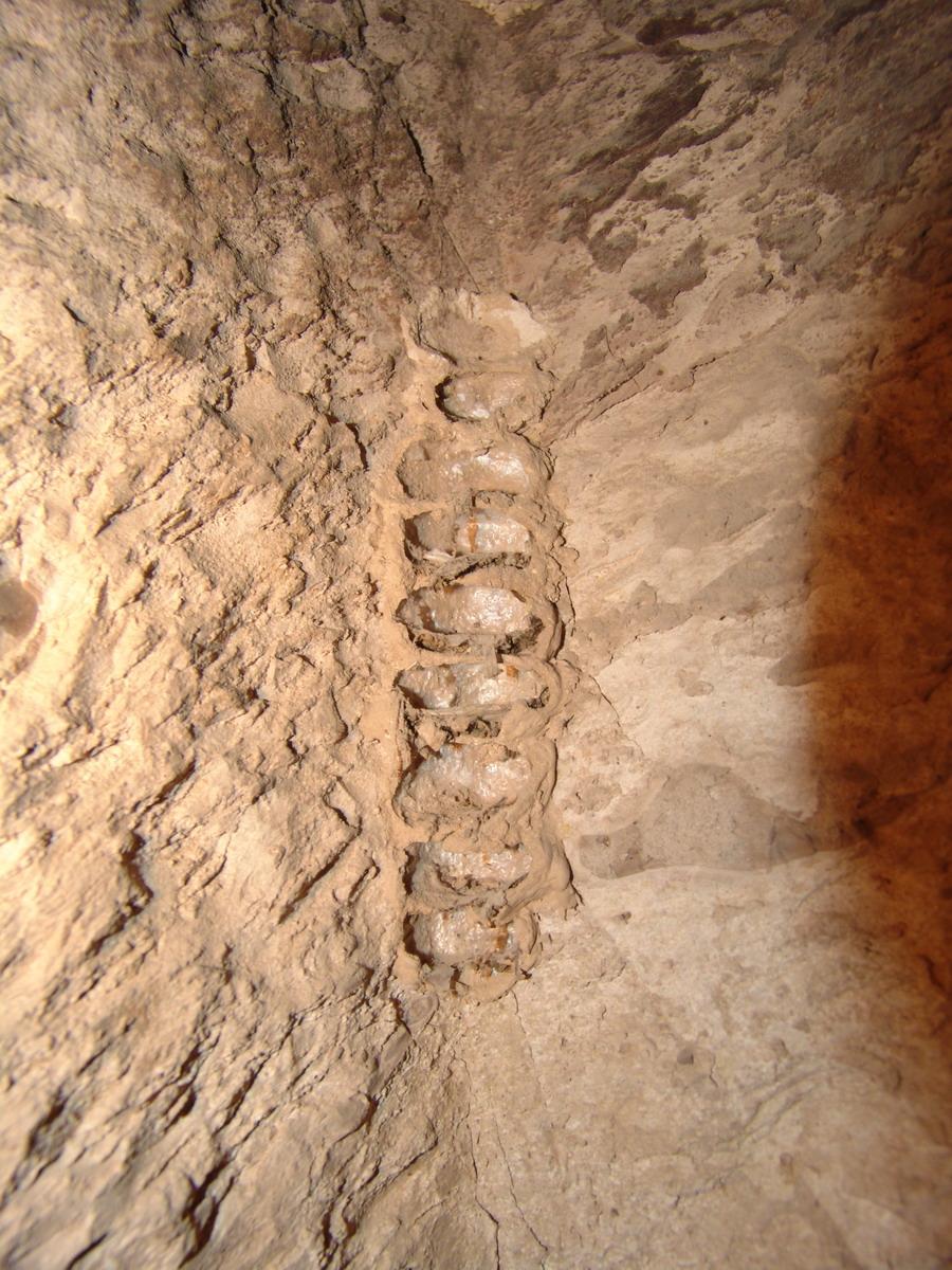 GCI/VOQ.01121.jpg