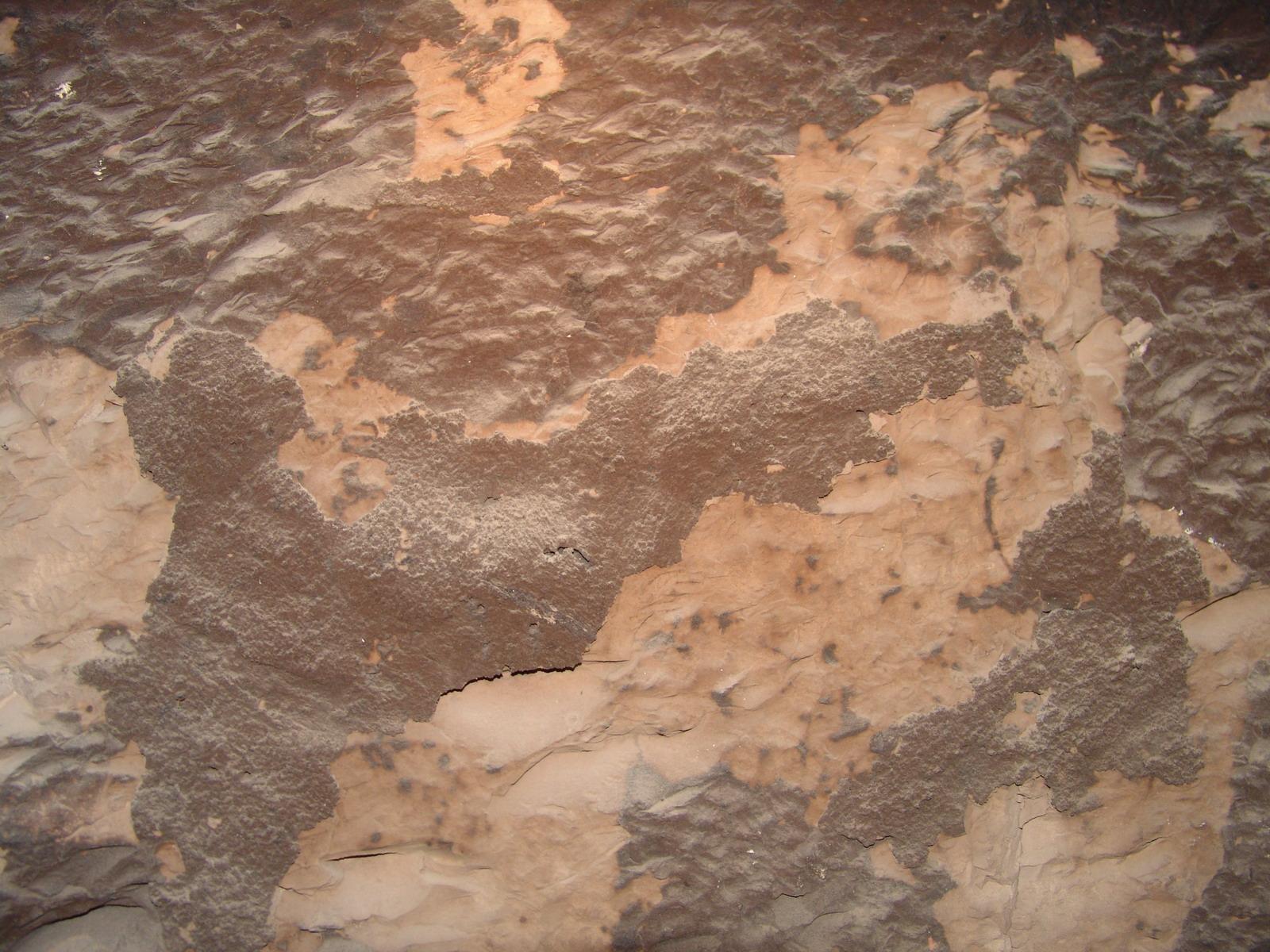 GCI/VOQ.01129.jpg