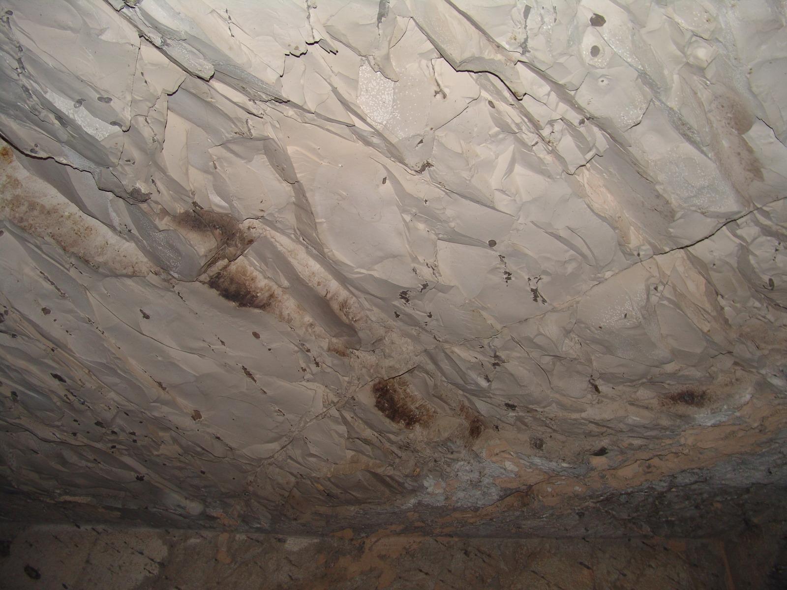 GCI/VOQ.01137.jpg