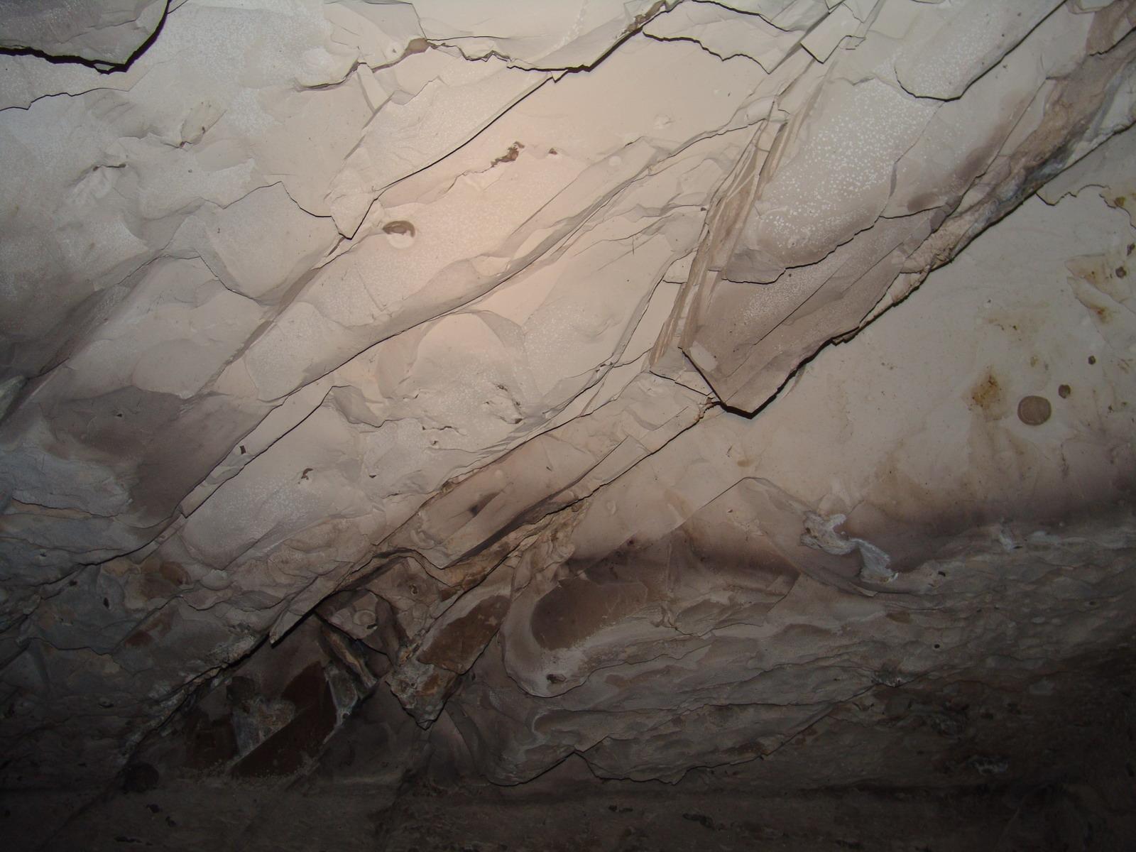 GCI/VOQ.01144.jpg