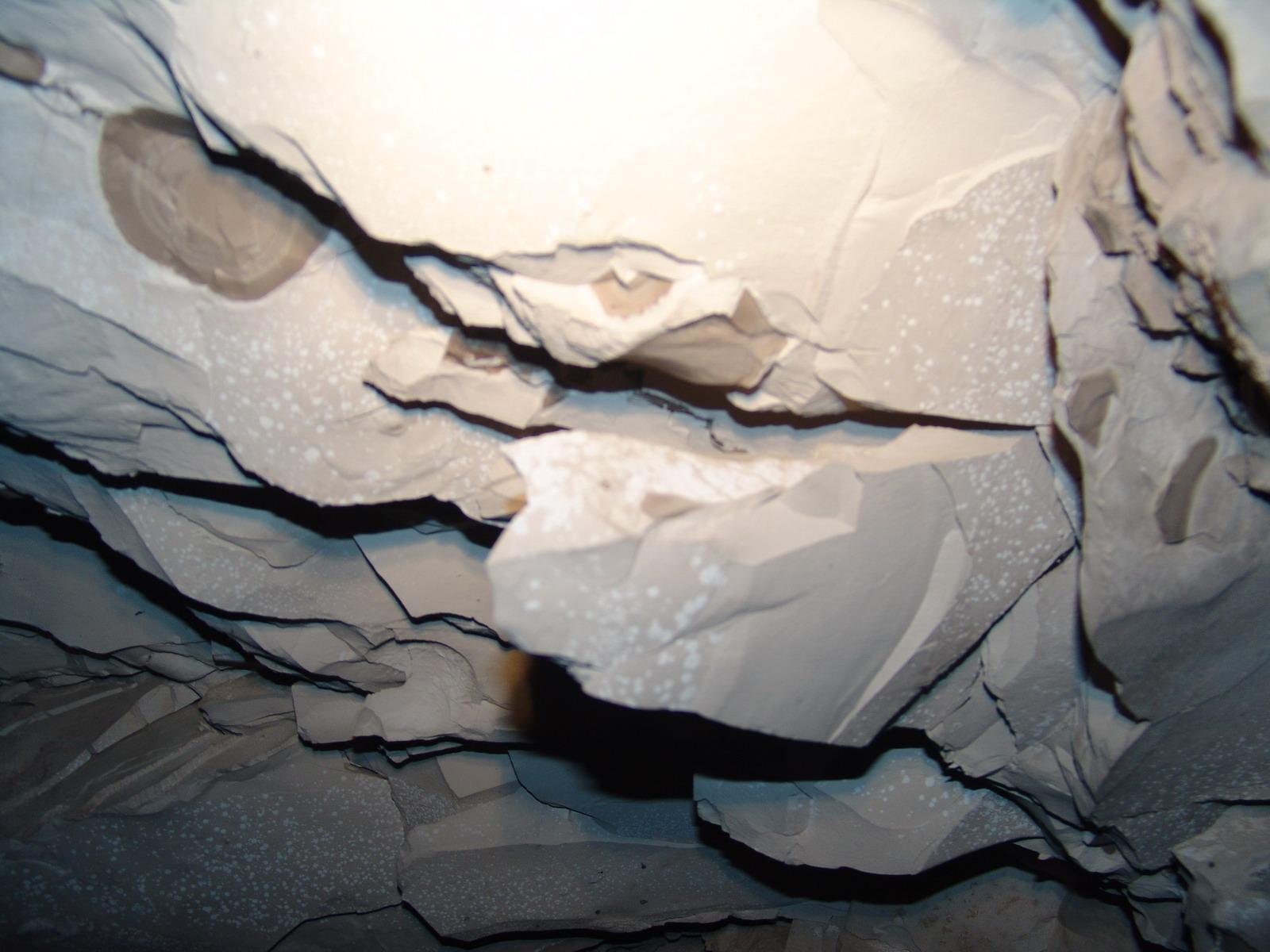 GCI/VOQ.01148.jpg