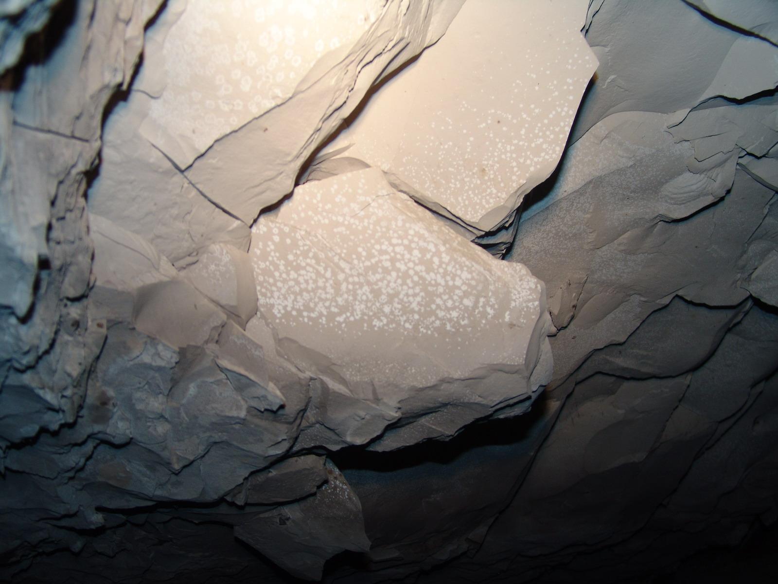 GCI/VOQ.01149.jpg