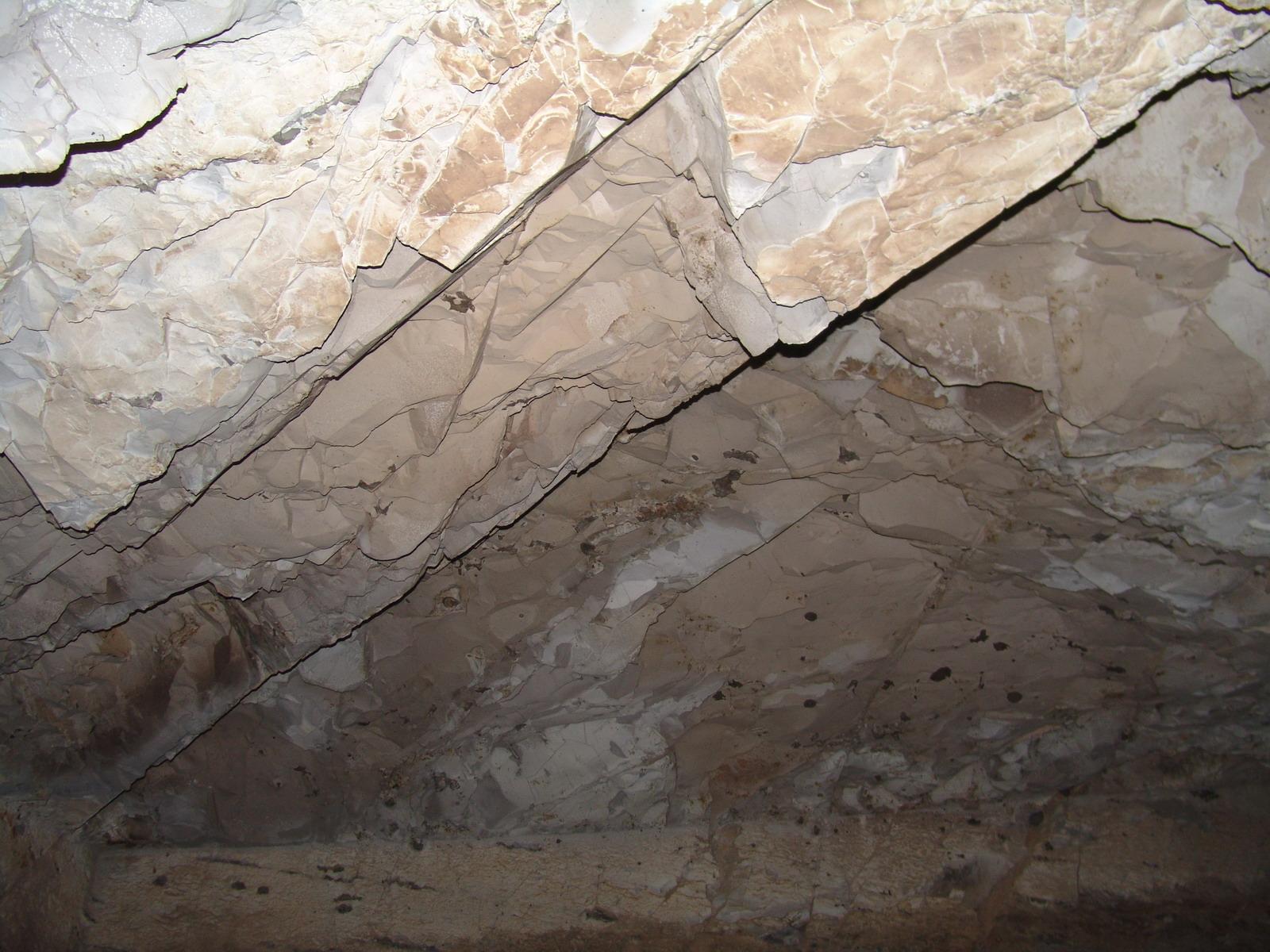 GCI/VOQ.01156.jpg