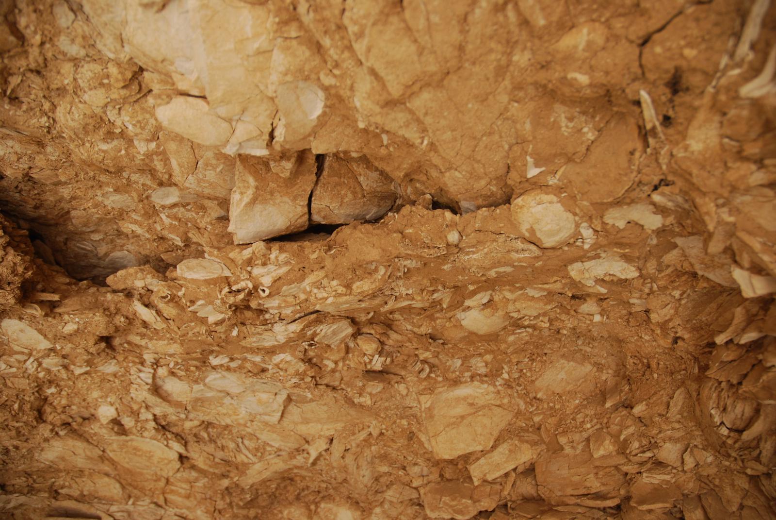 GCI/VOQ.01185.jpg