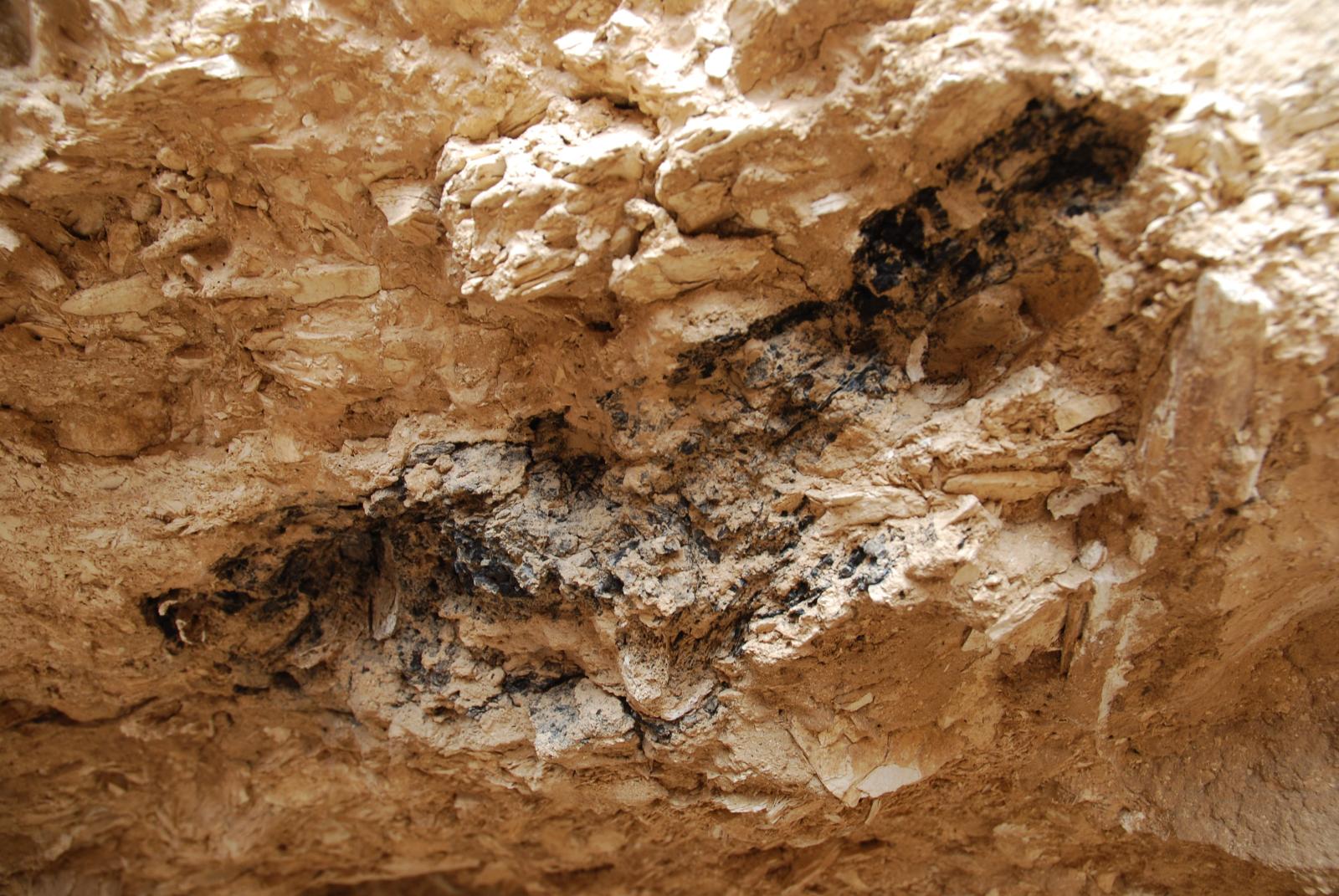 GCI/VOQ.01186.jpg