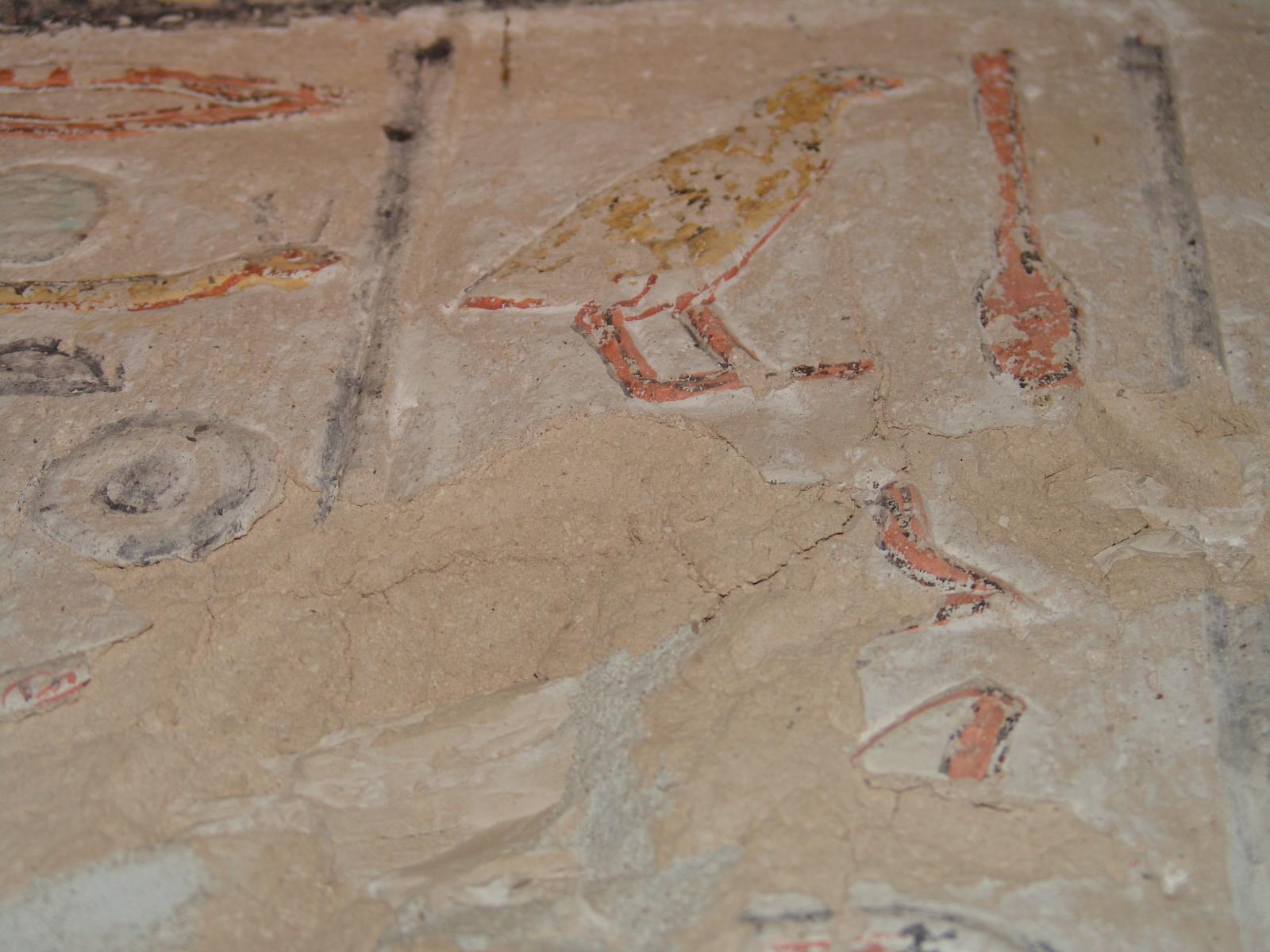 GCI/VOQ.01234.jpg