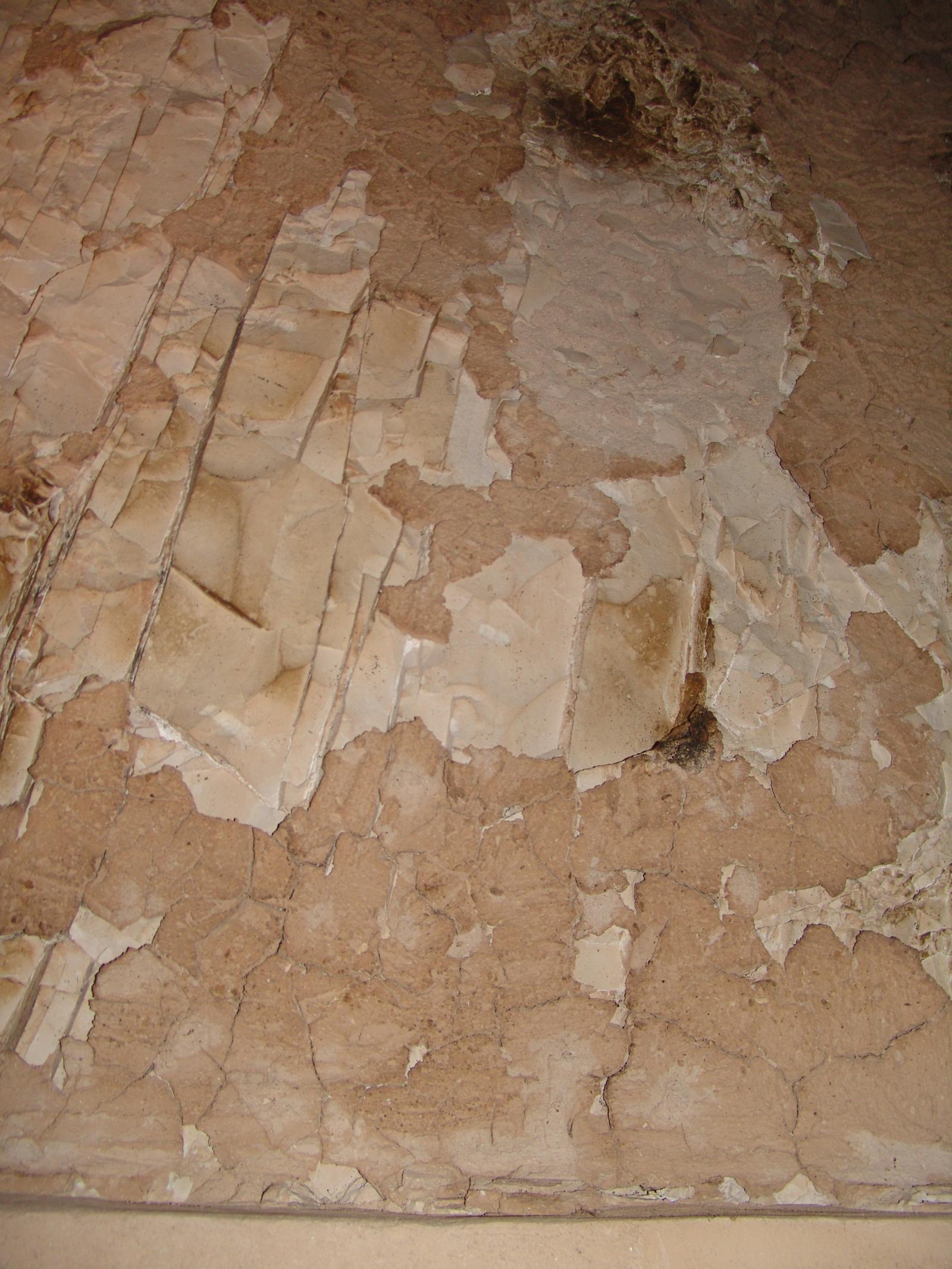 GCI/VOQ.01317.jpg