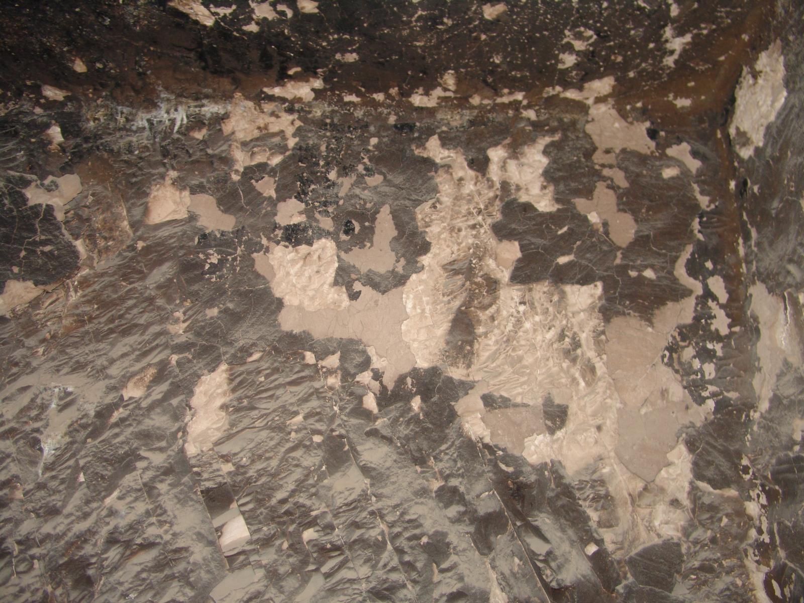 GCI/VOQ.01350.jpg