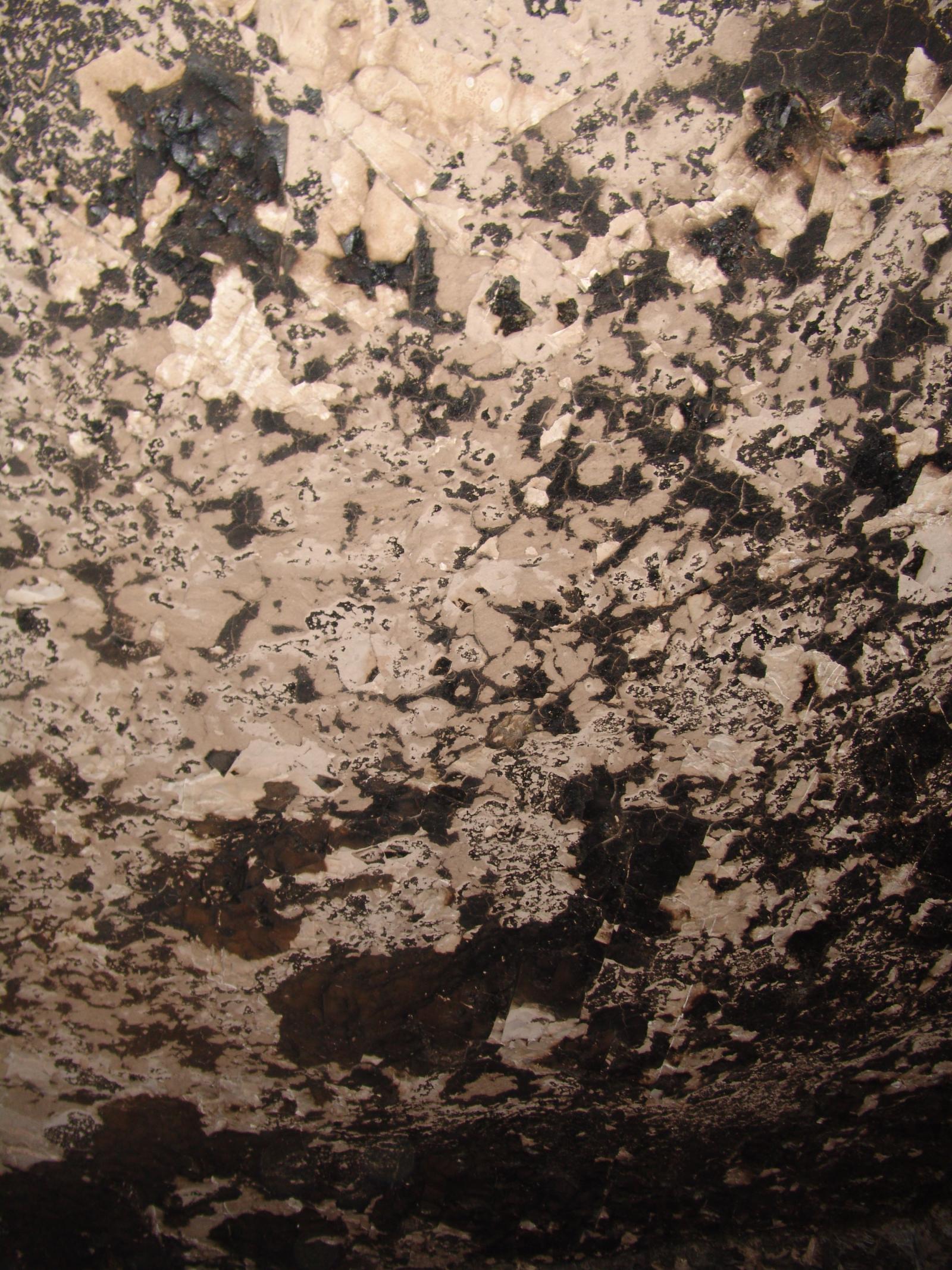 GCI/VOQ.01351.jpg