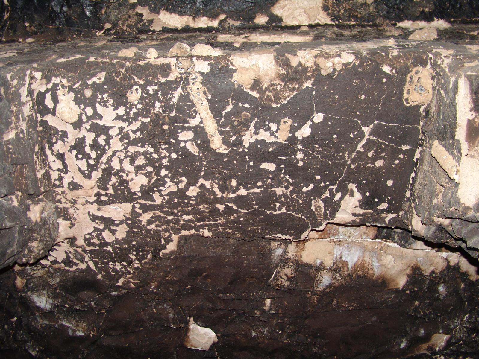 GCI/VOQ.01352.jpg