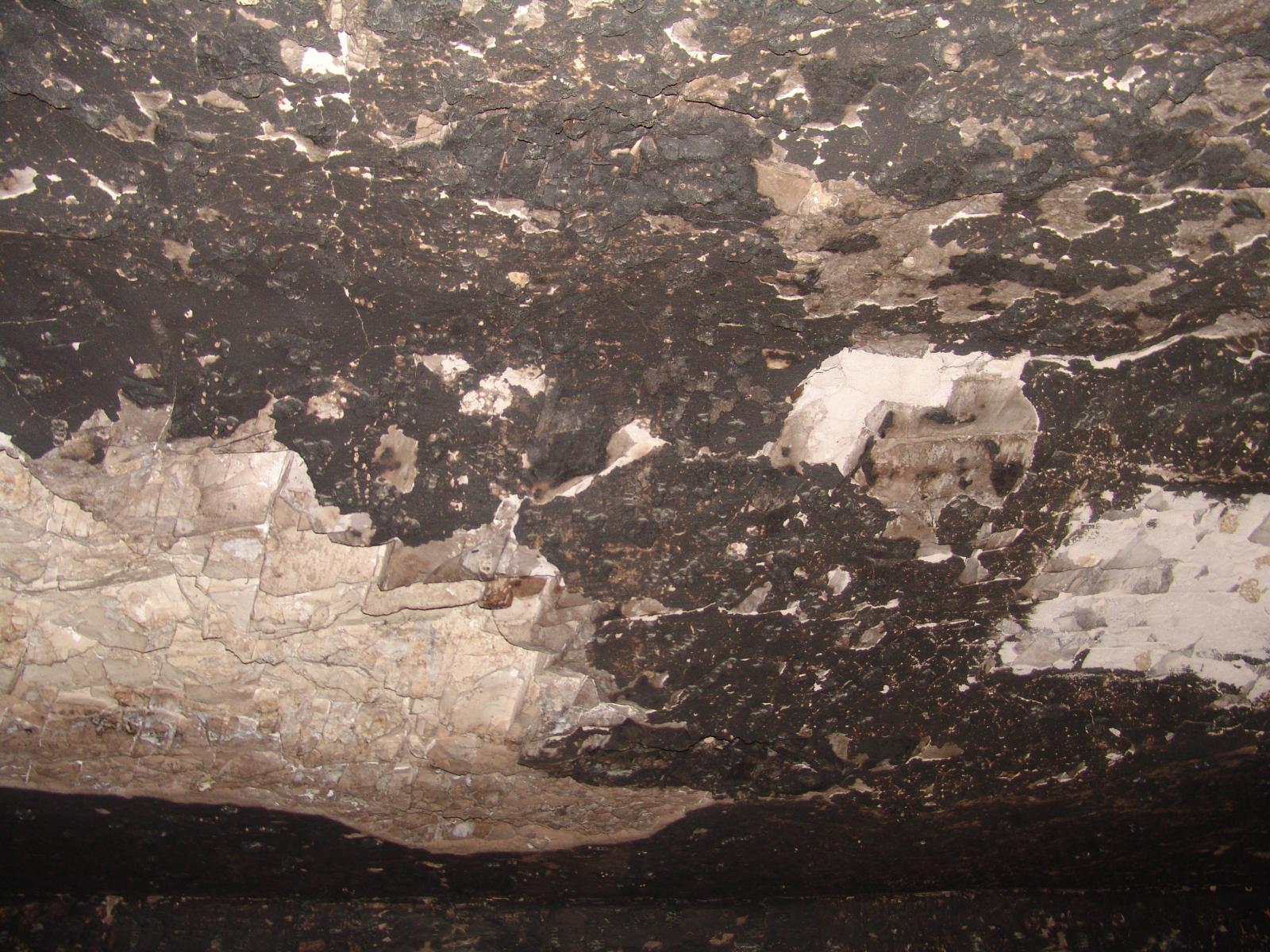 GCI/VOQ.01365.jpg