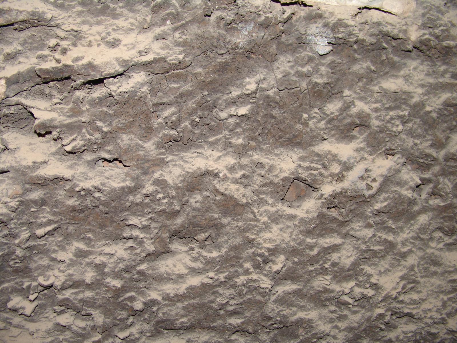 GCI/VOQ.01432.jpg