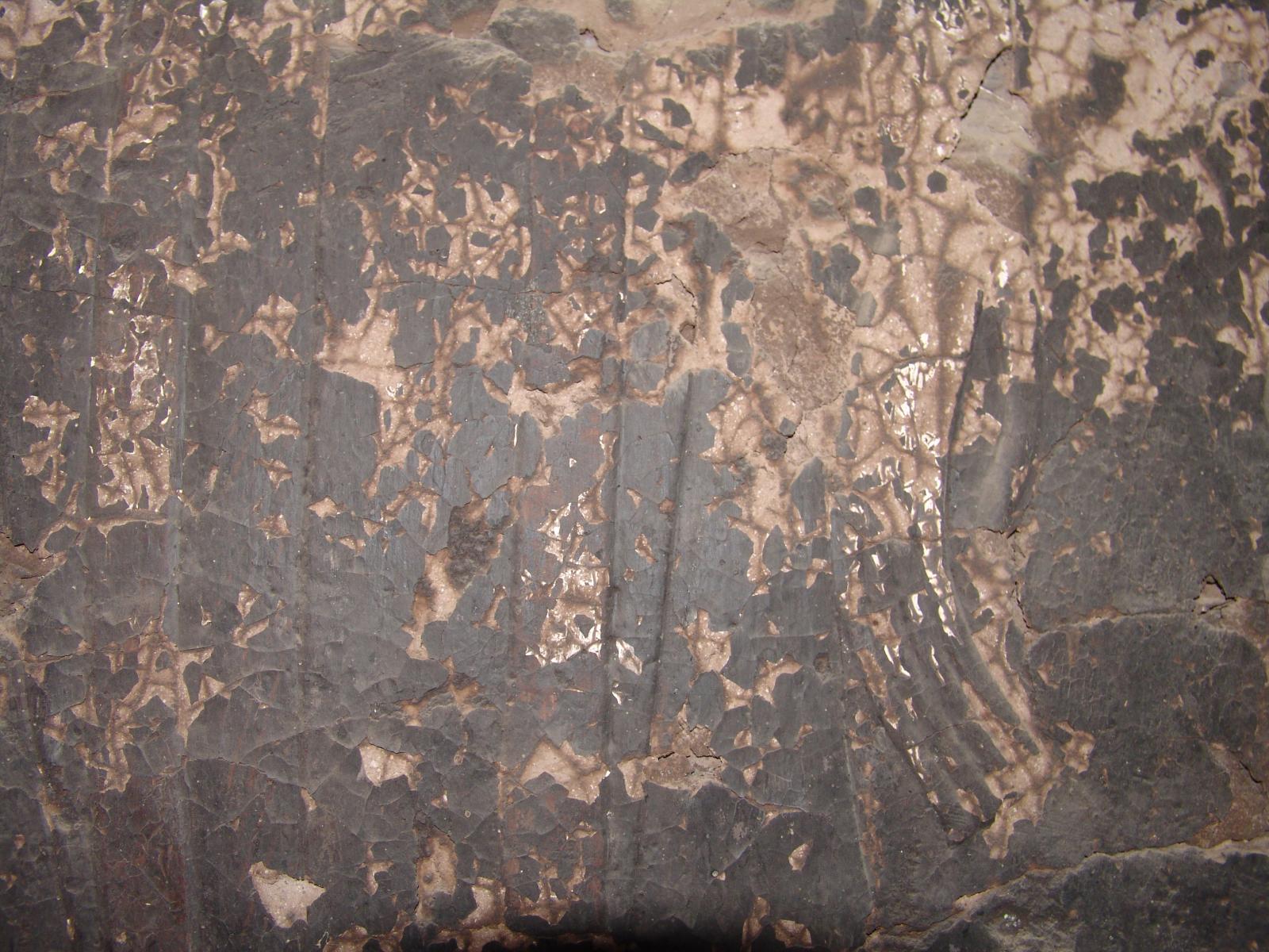 GCI/VOQ.01446.jpg