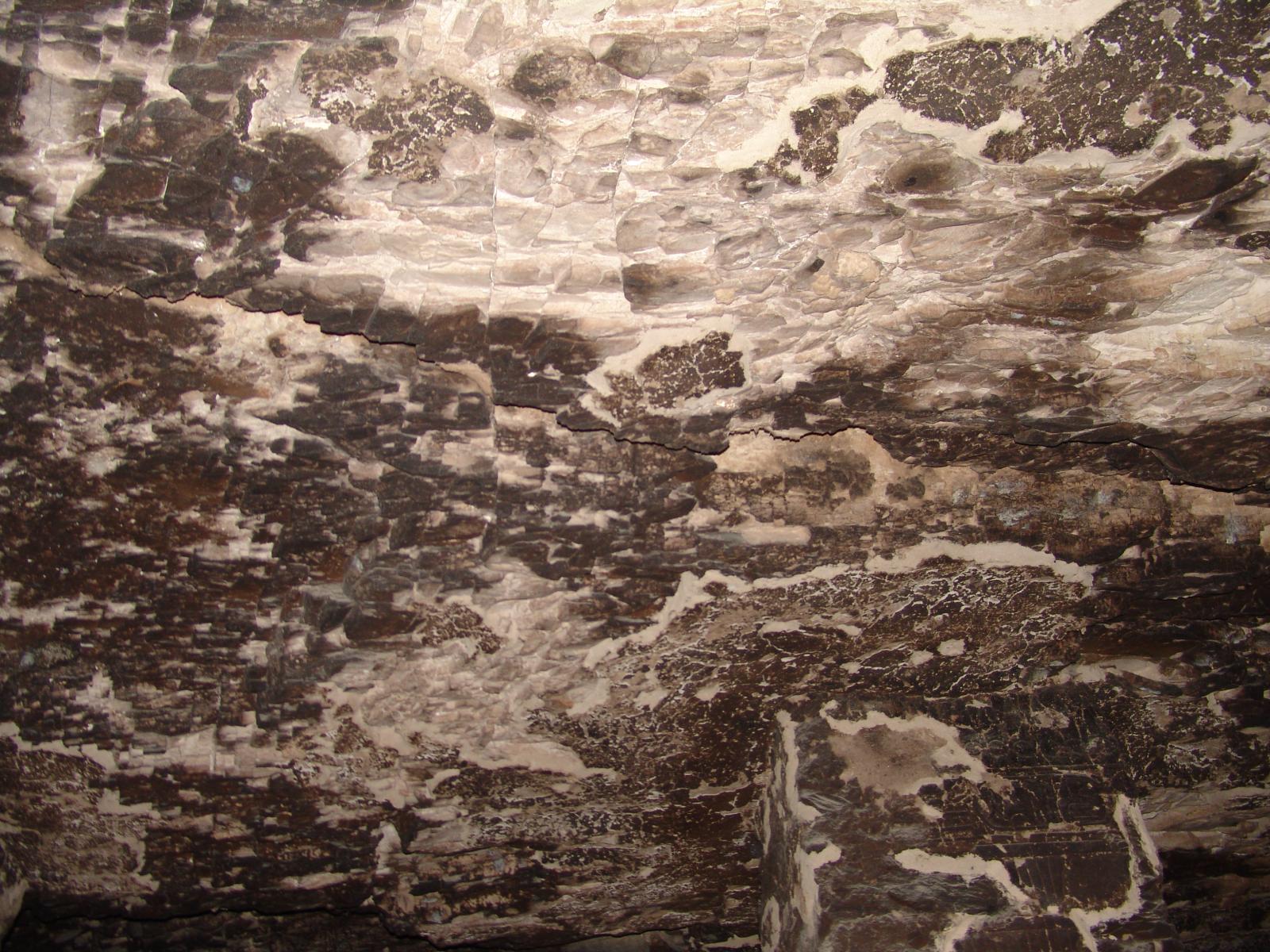 GCI/VOQ.01552.jpg