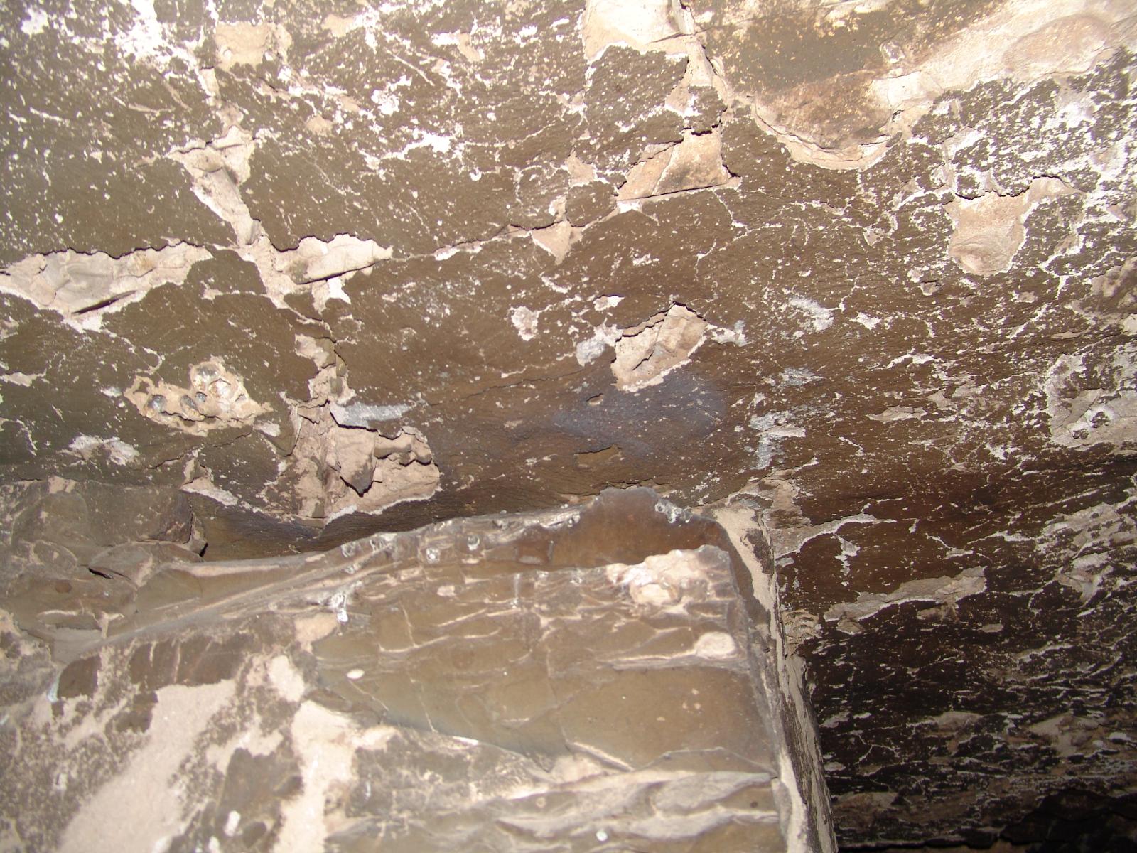 GCI/VOQ.01555.jpg