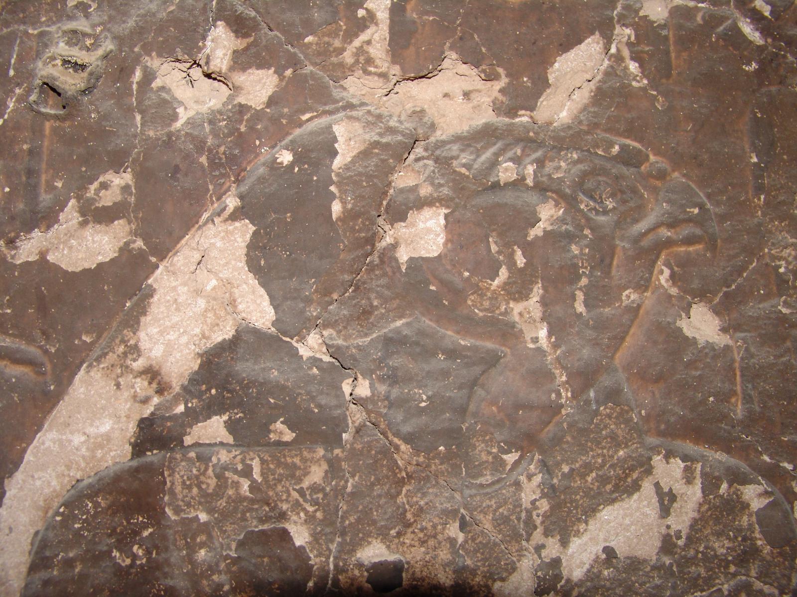 GCI/VOQ.01558.jpg