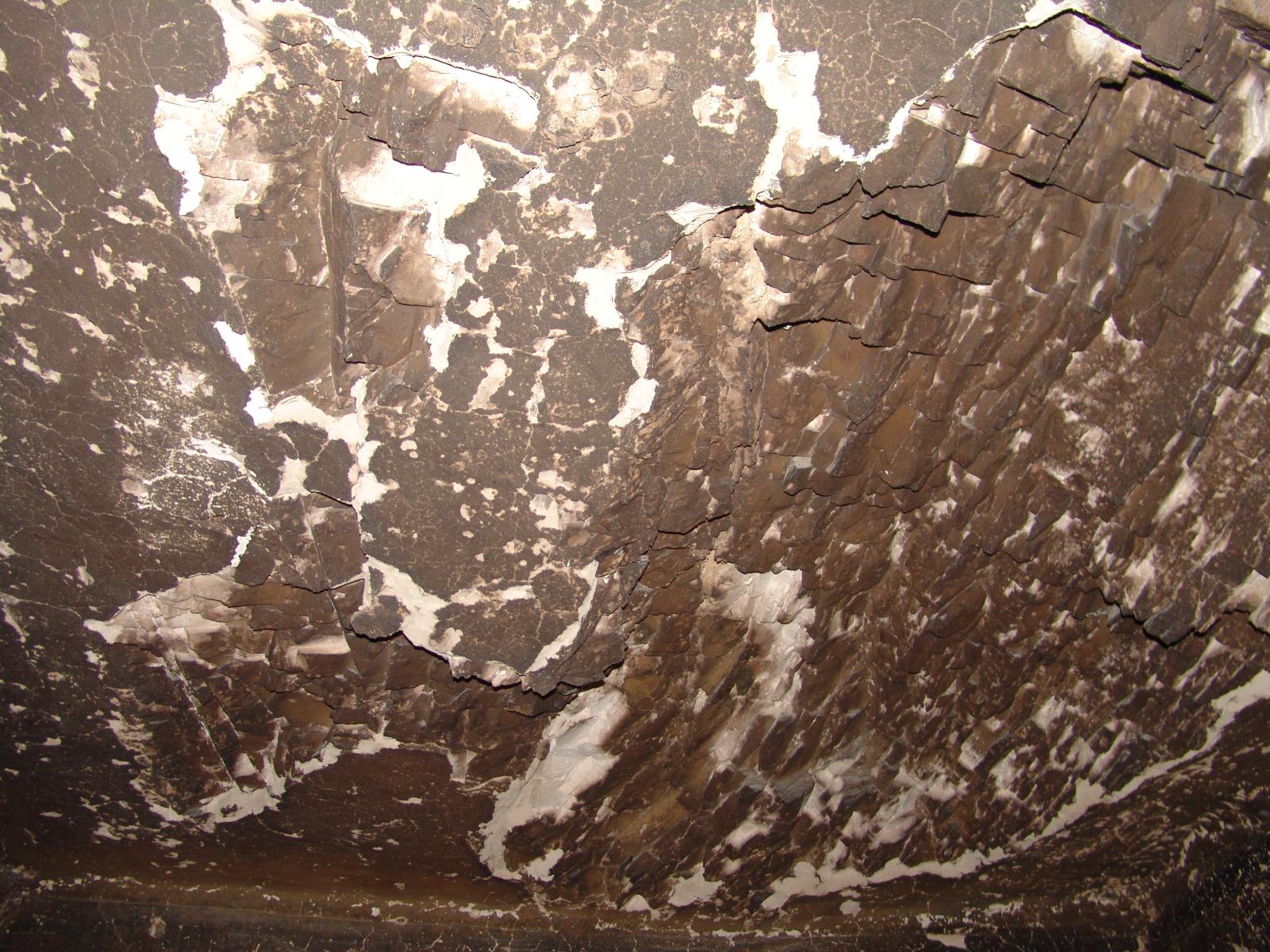 GCI/VOQ.01613.jpg