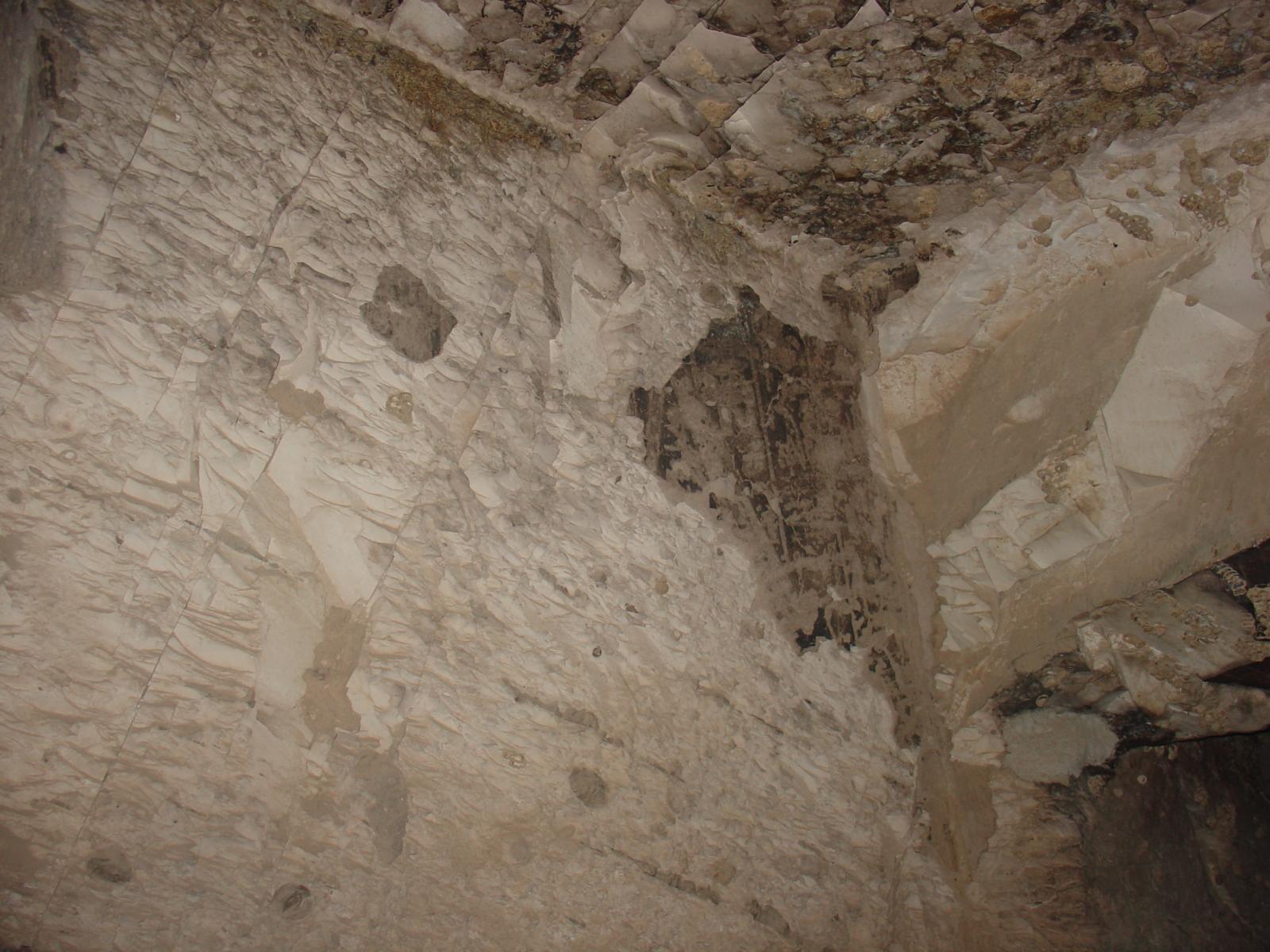 GCI/VOQ.01709.jpg