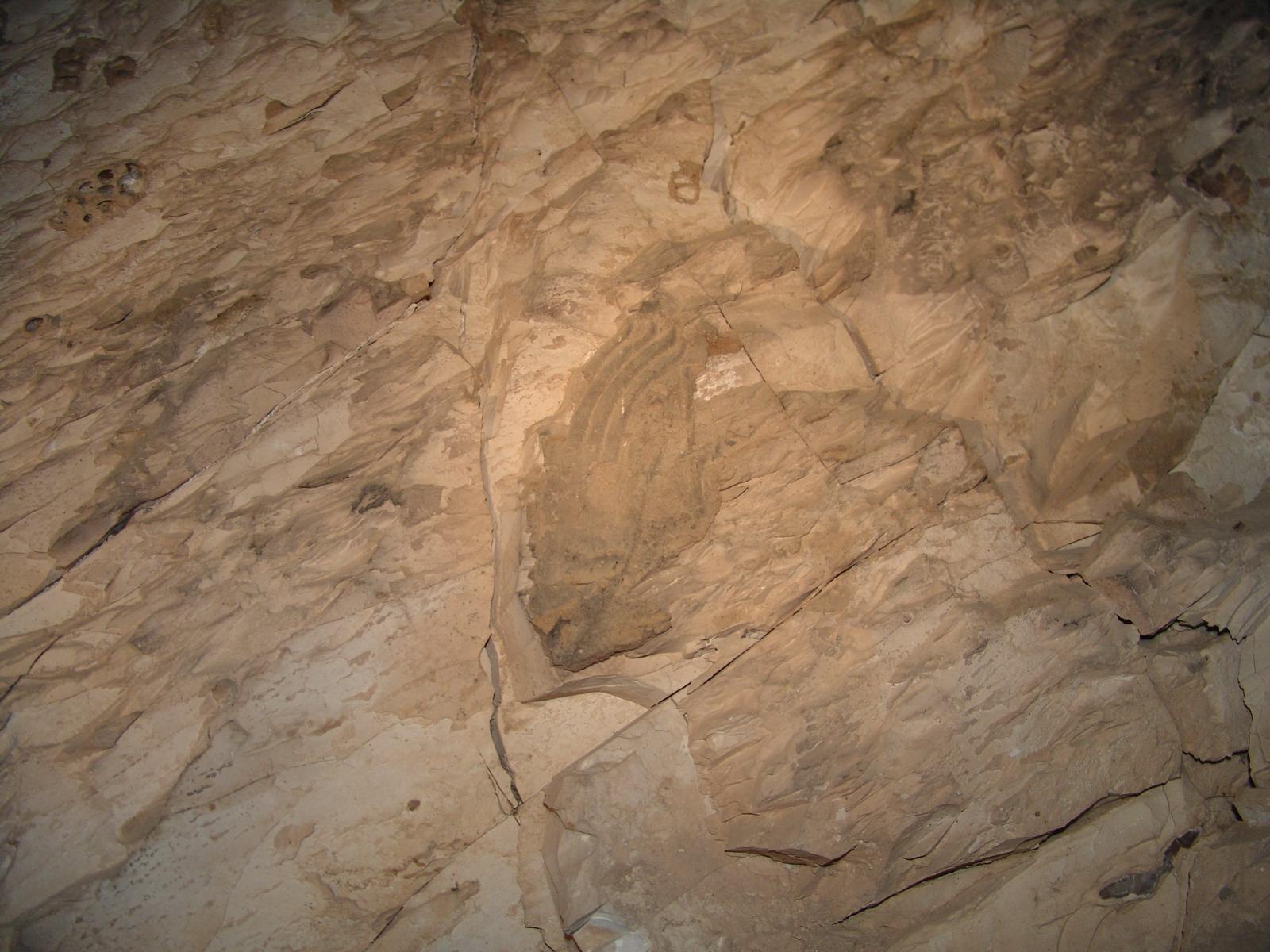 GCI/VOQ.01765.jpg