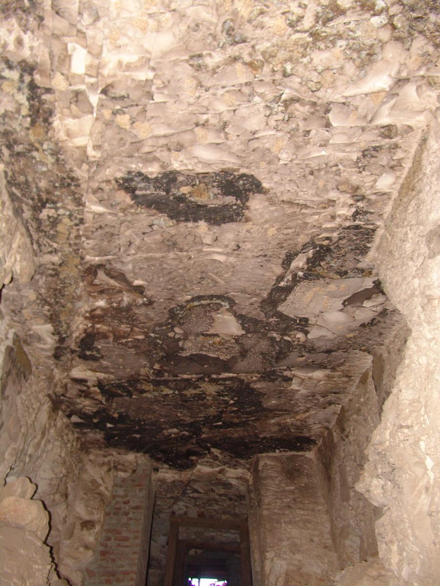 GCI/VOQ.01790.jpg