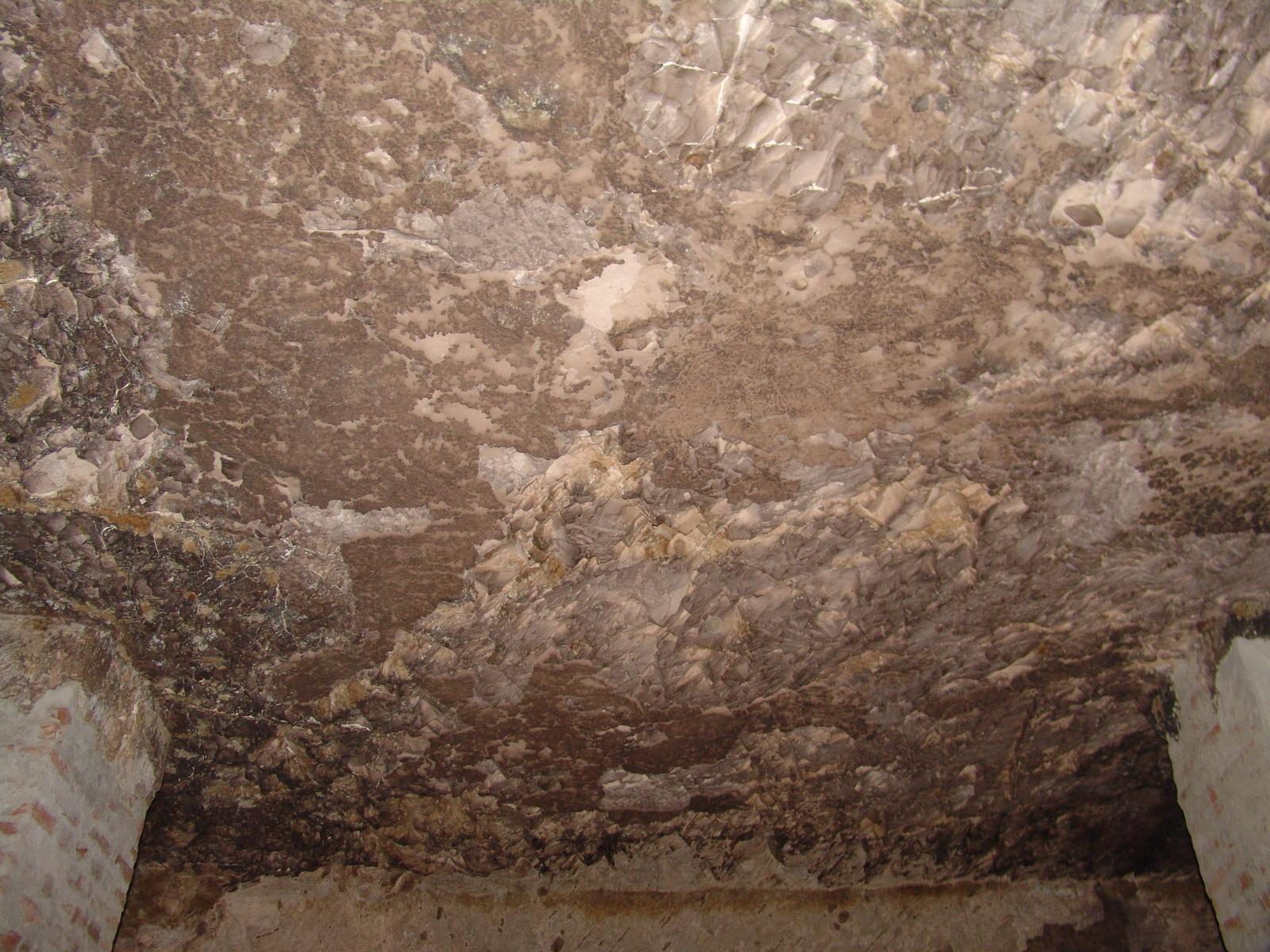 GCI/VOQ.01797.jpg