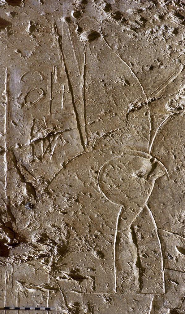 14441.jpg