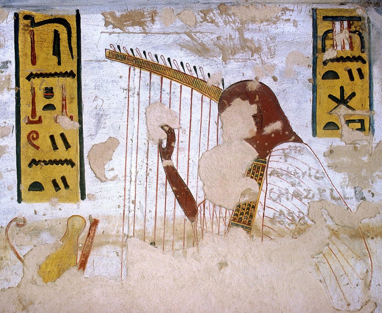 15651.jpg