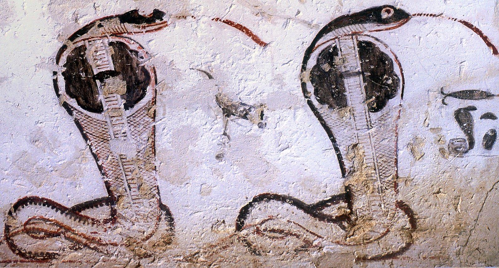 16255.jpg