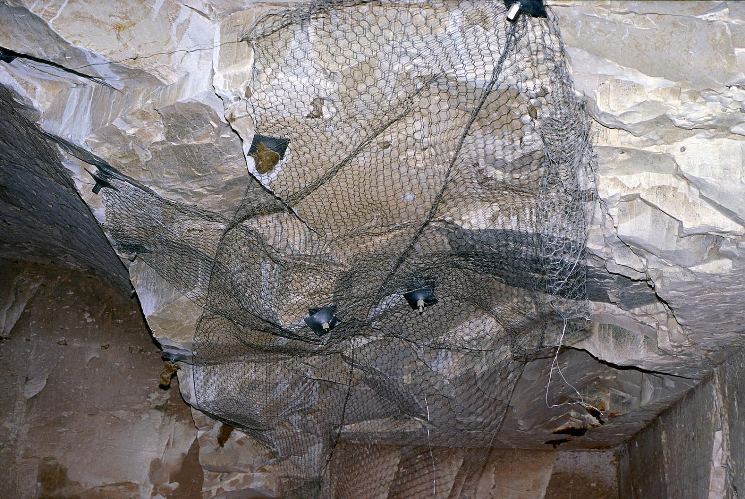 10059.jpg