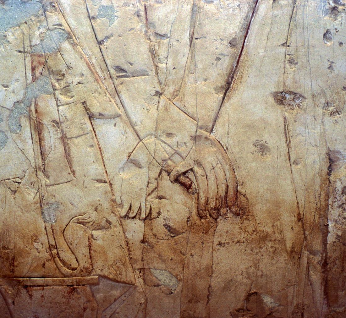 10063.jpg