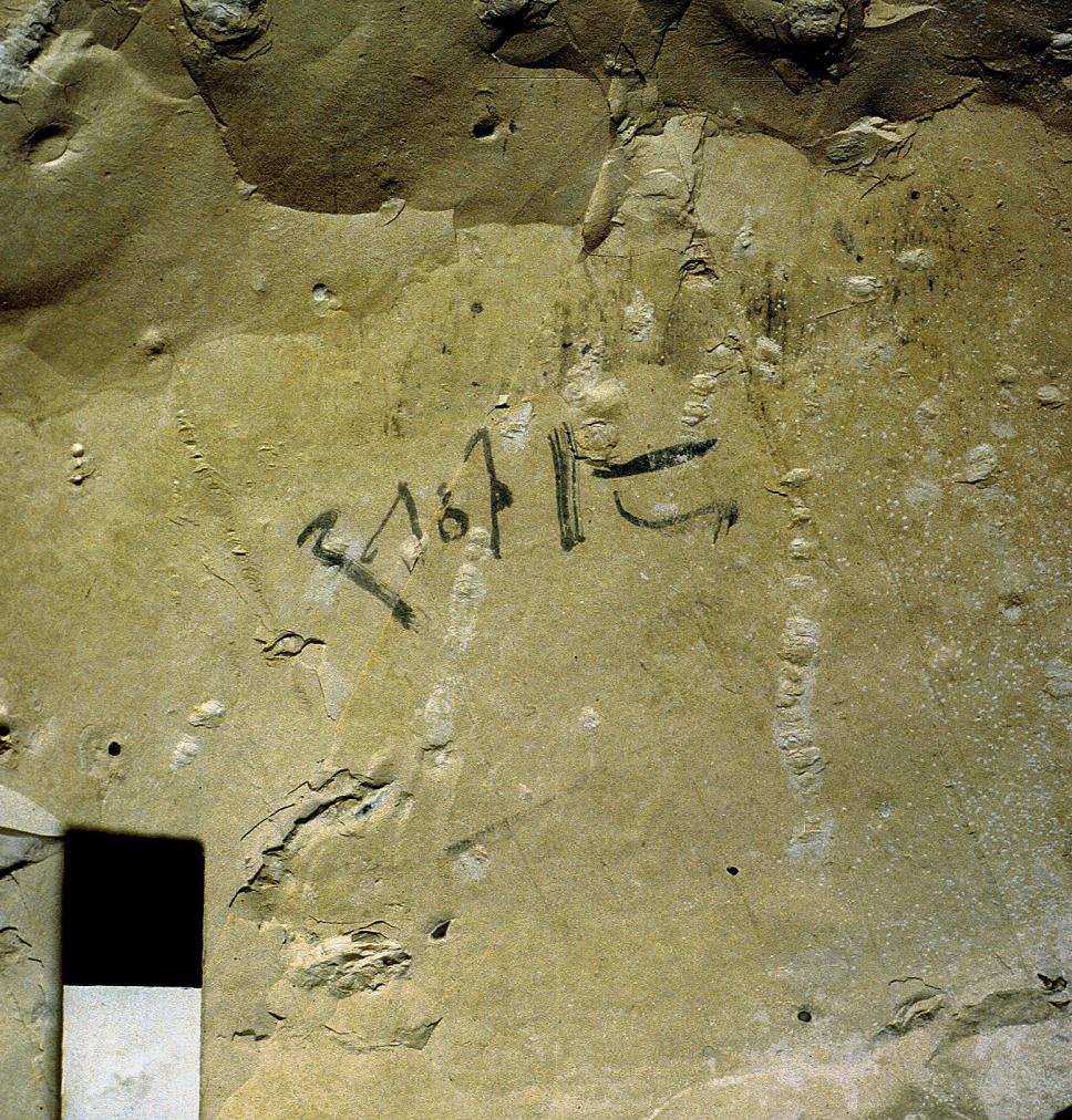 11164.jpg