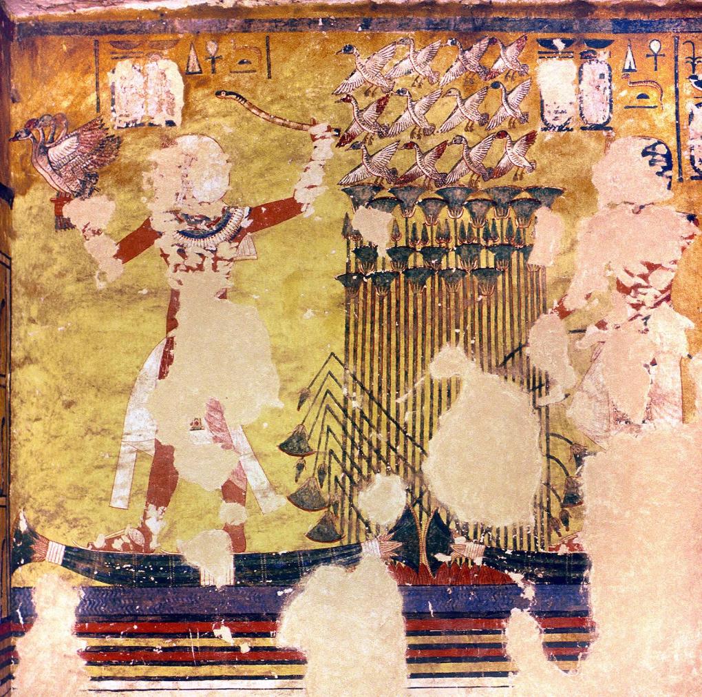 15263.jpg