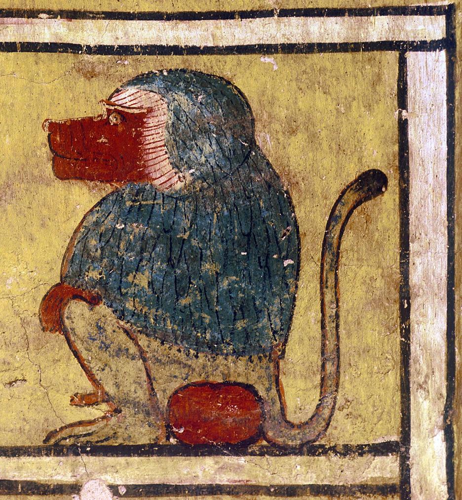 15267.jpg