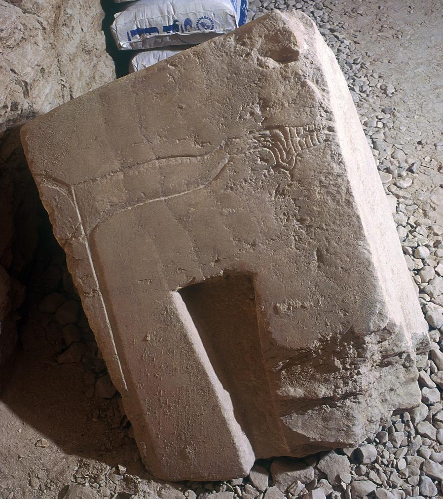 15436.jpg