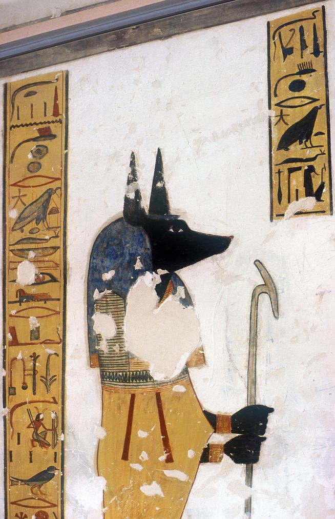 15531.jpg